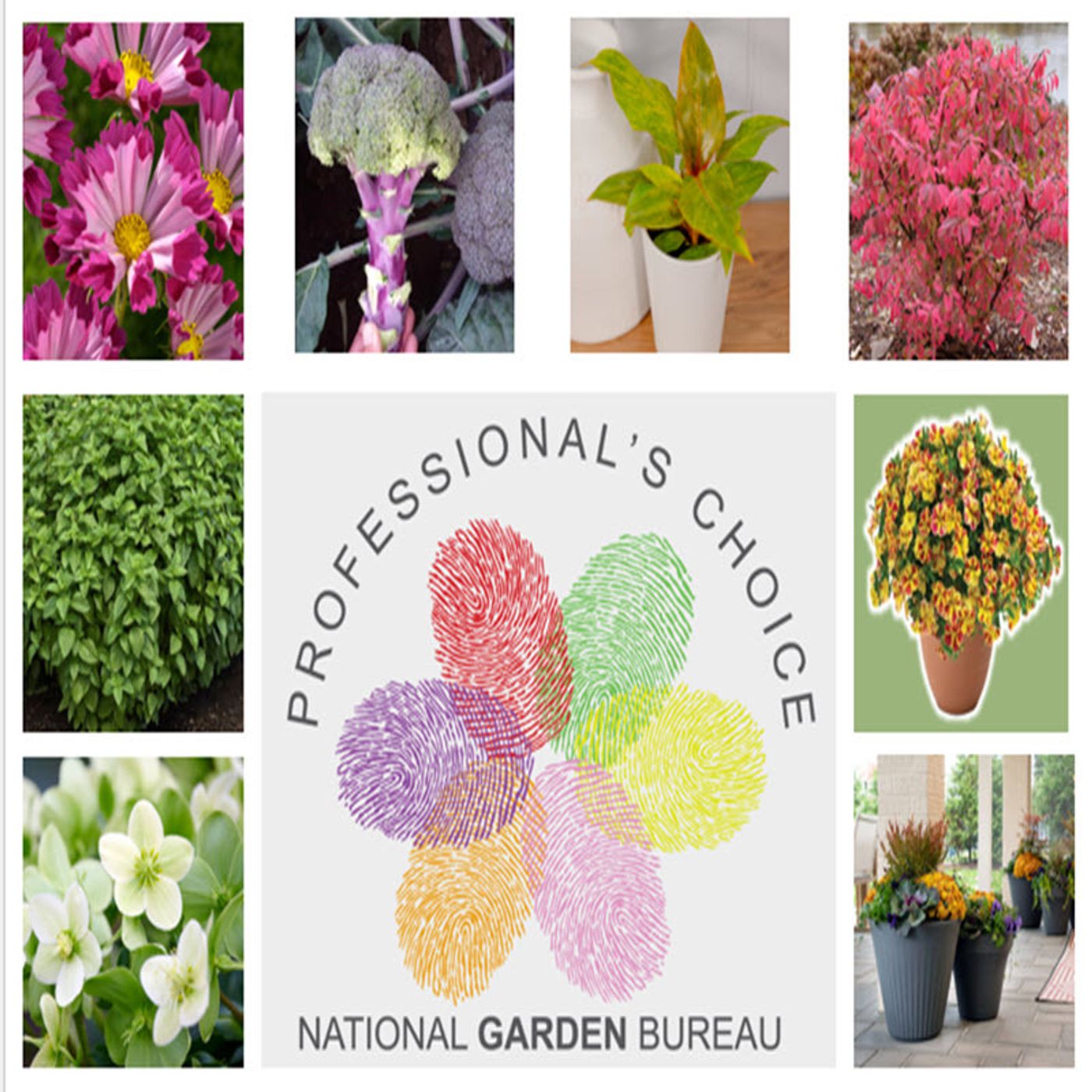 Better Lawns and Gardens - Hour 2 National Garden Bureau Green Thumb Awards January 18 2025