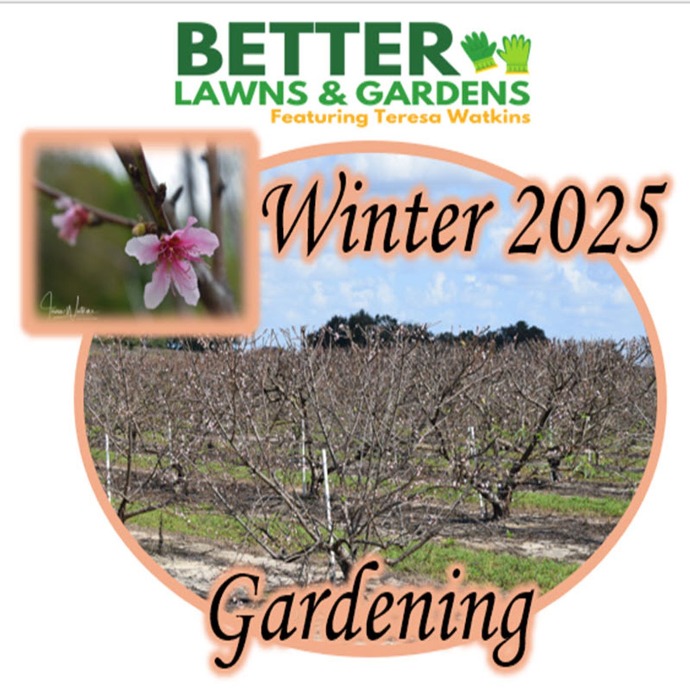 Better Lawns and Gardens - Hour 2 Winter Gardening January 25, 2025