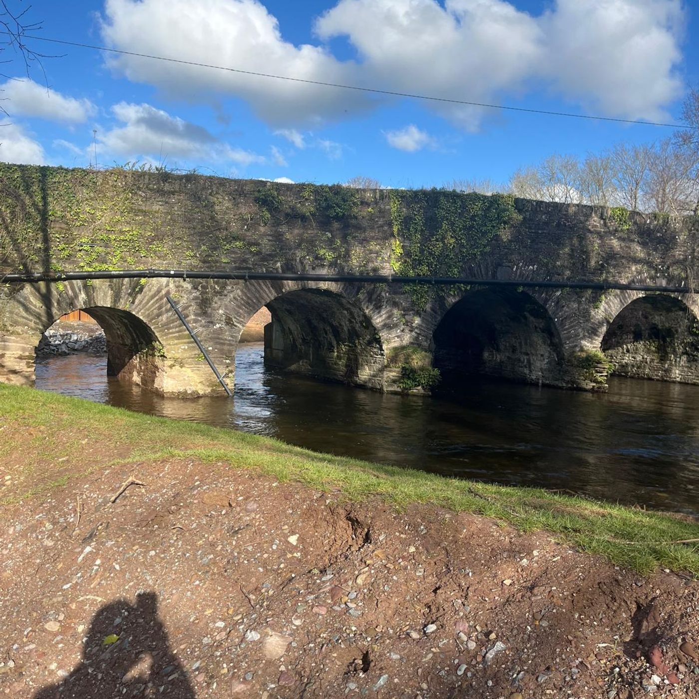A WALK BY THE RIVER WITH DOG  - Paul O'Mahony  #feBooary25