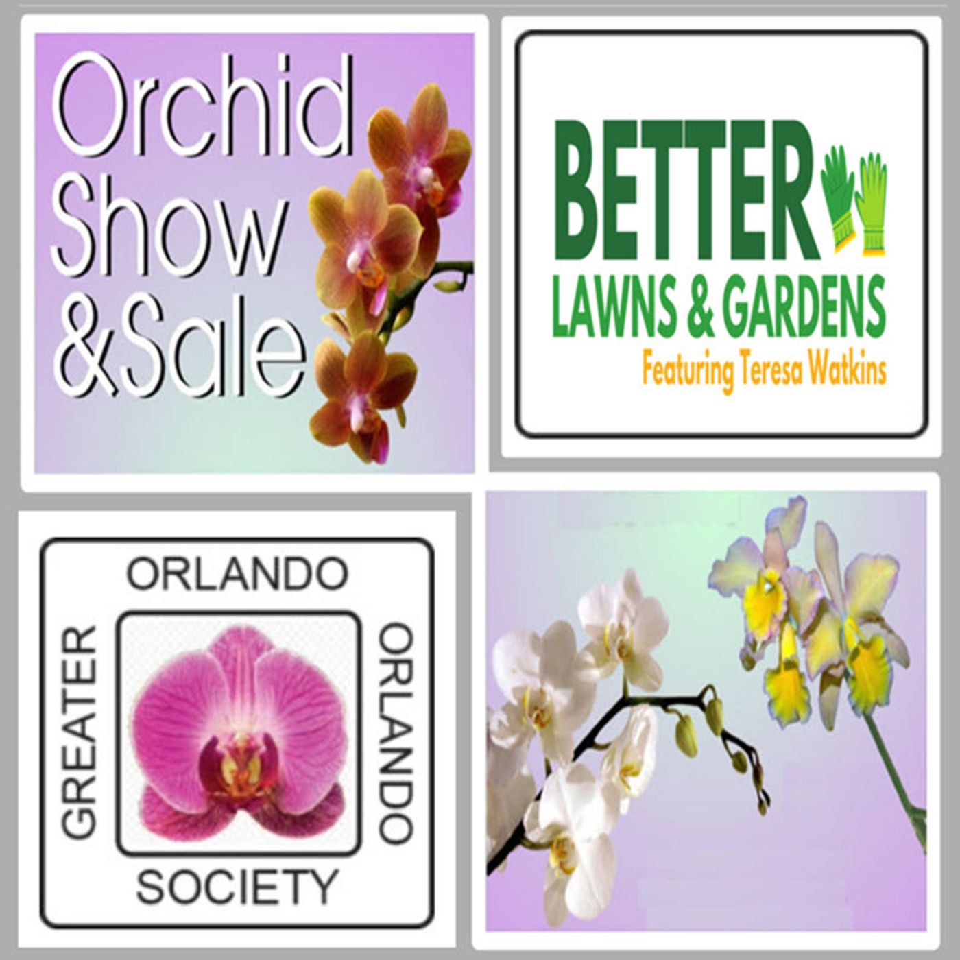 Better Lawns and Gardens - Hour 1 Valentine's Day and Orchids February 8, 2025