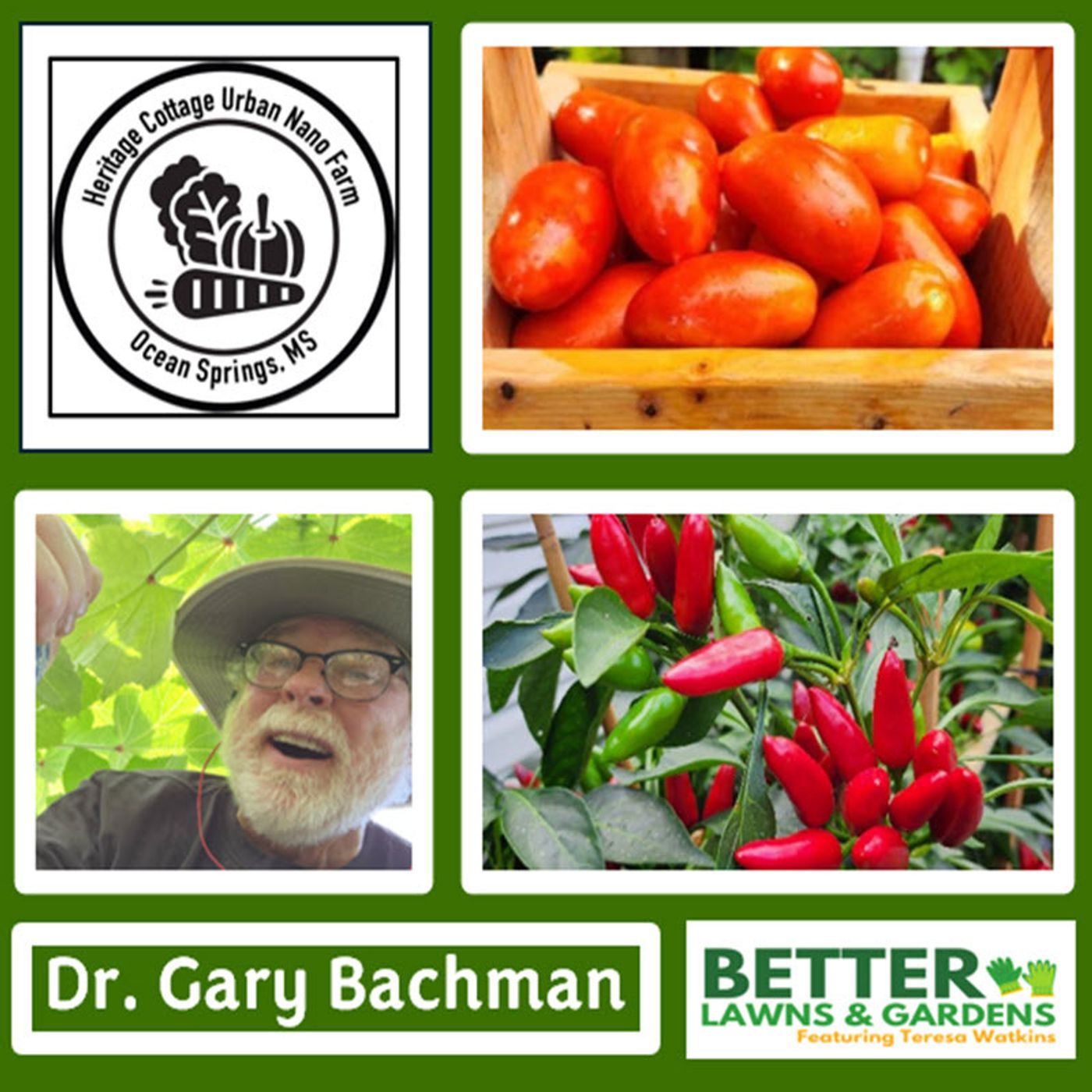 Better Lawns and Gardens - Hour 2 Dr. Gary Bachman Heritage Cottage Seeds February 8, 2025