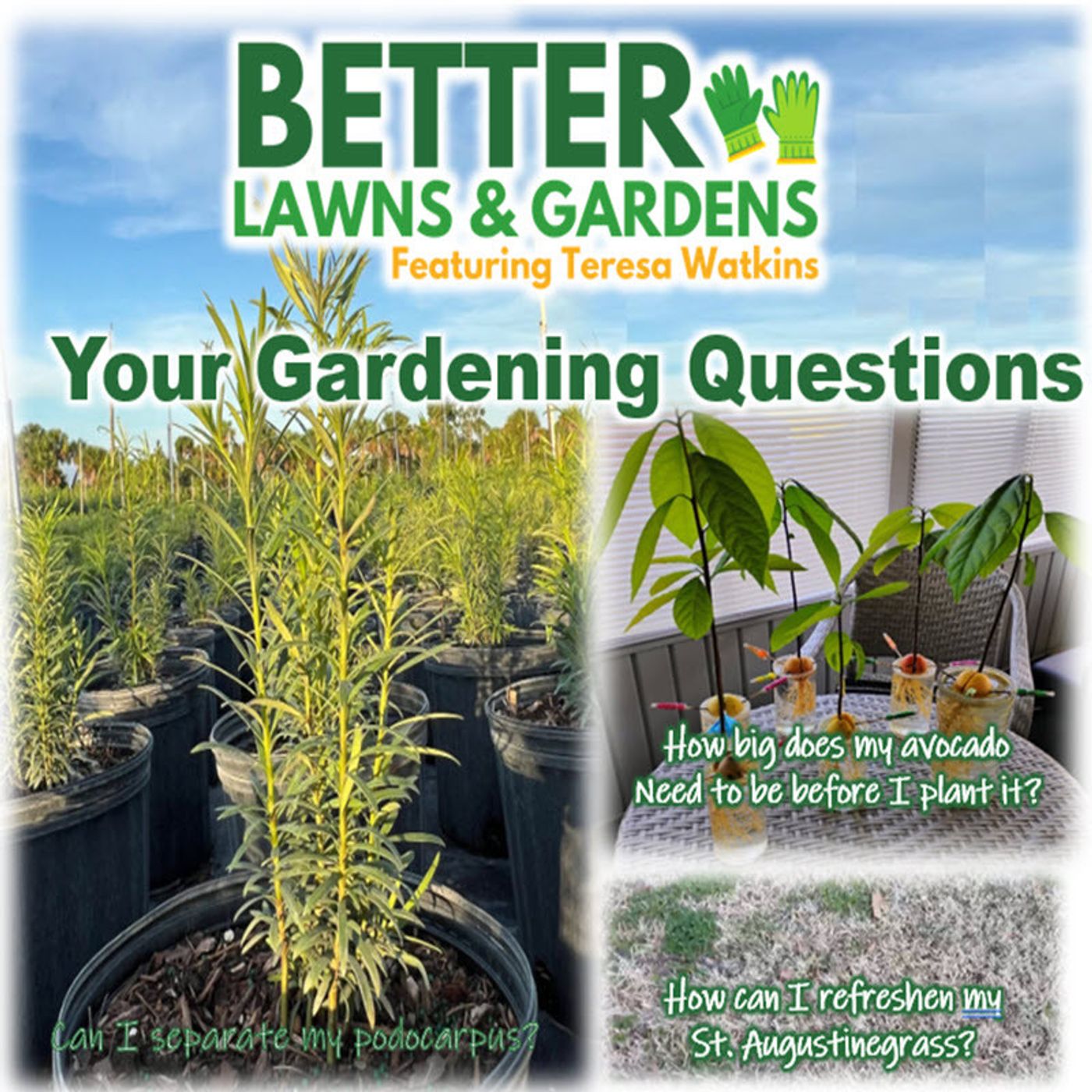 Better Lawns and Gardens - Hour 1 Your Gardening Questions February 15, 2025
