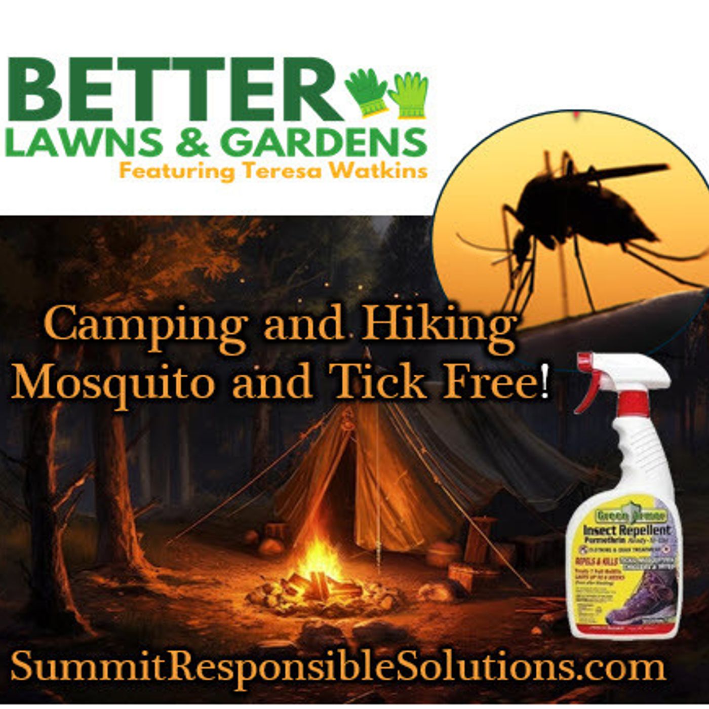 Better Lawns and Gardens - Hour 2 Mosquito Control for Outdoor Events March 15 2025
