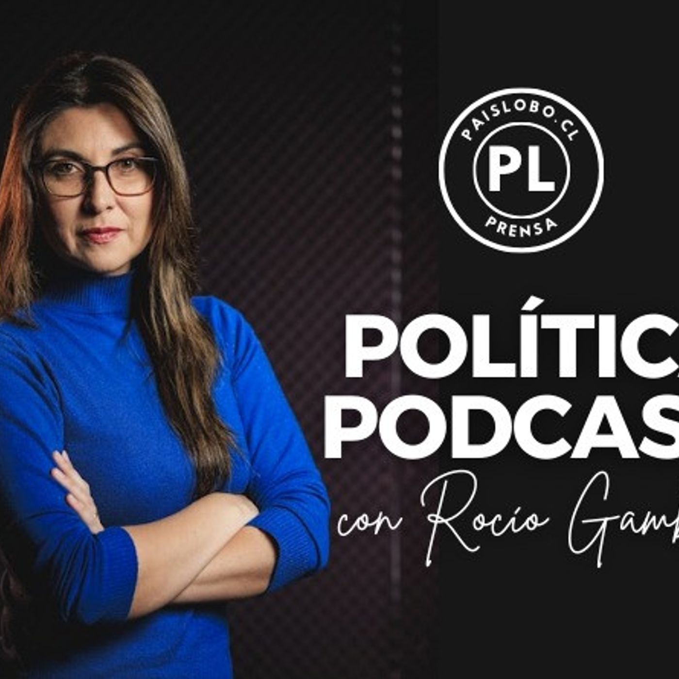 Matthei propone parcelaciones "sostenibles" y modernizar el SAG