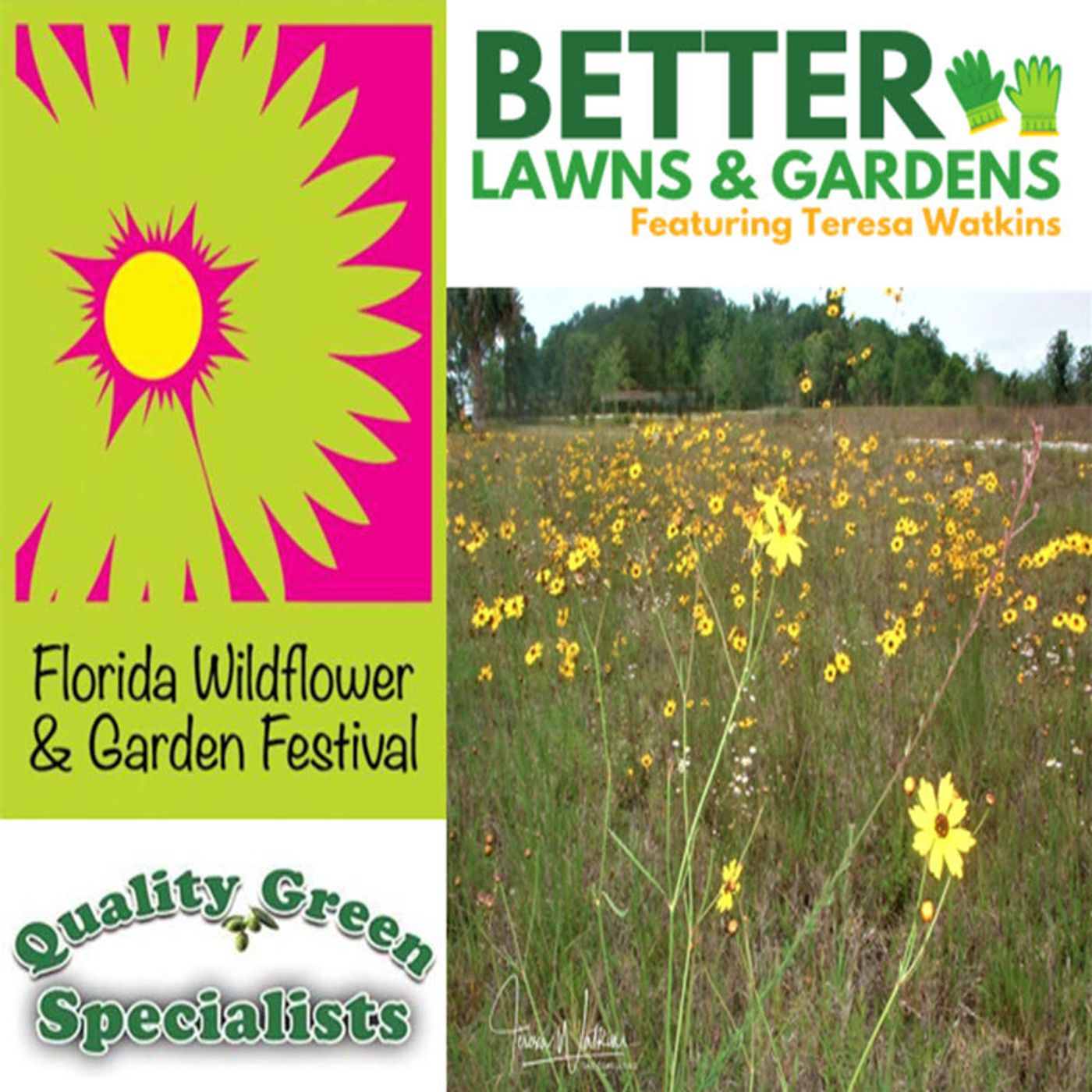 Better Lawns and Gardens - Hour 1 Florida Wildflower Festival March 22, 2025