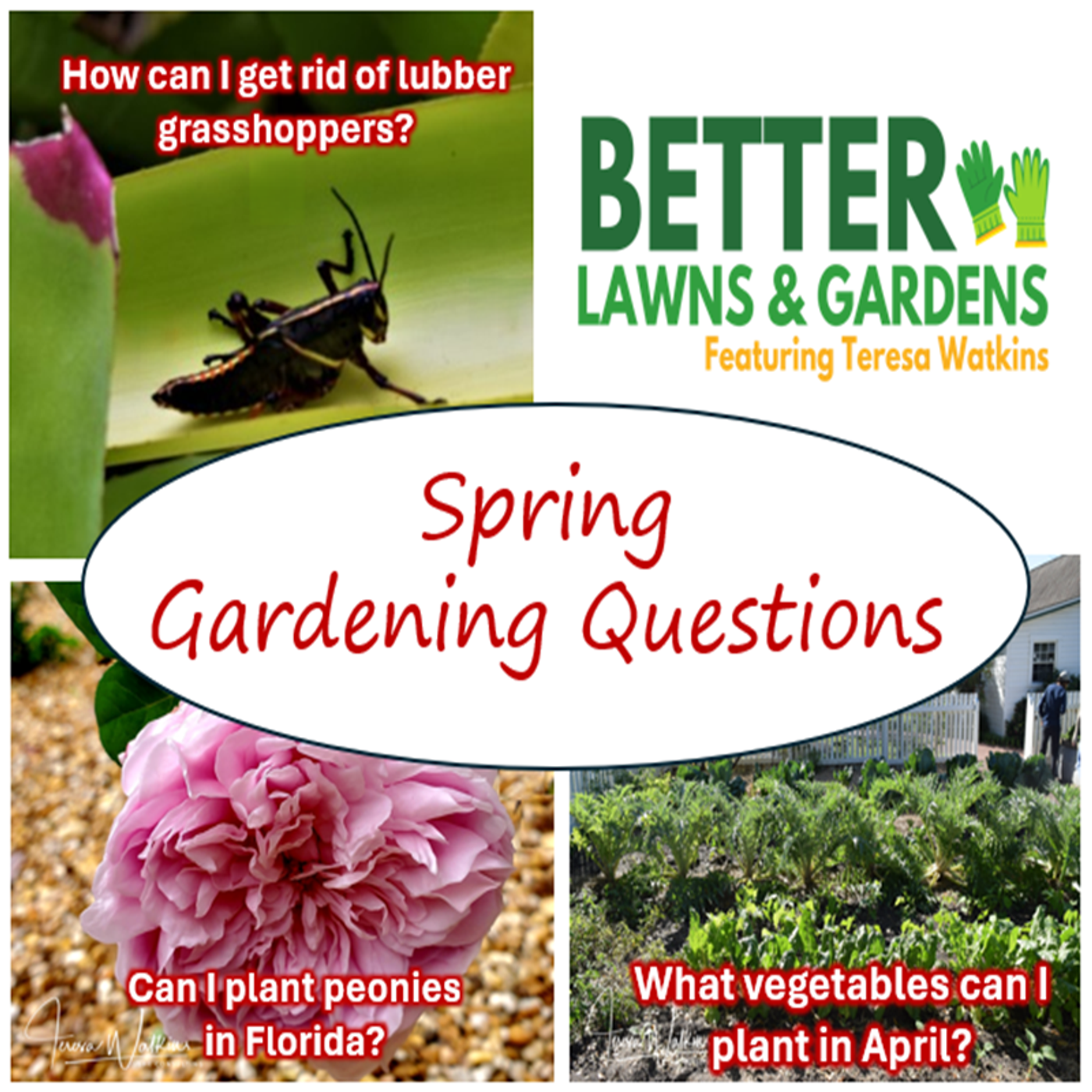 Better Lawns and Gardens - Hour 1 Spring Garden Questions March 29, 2025