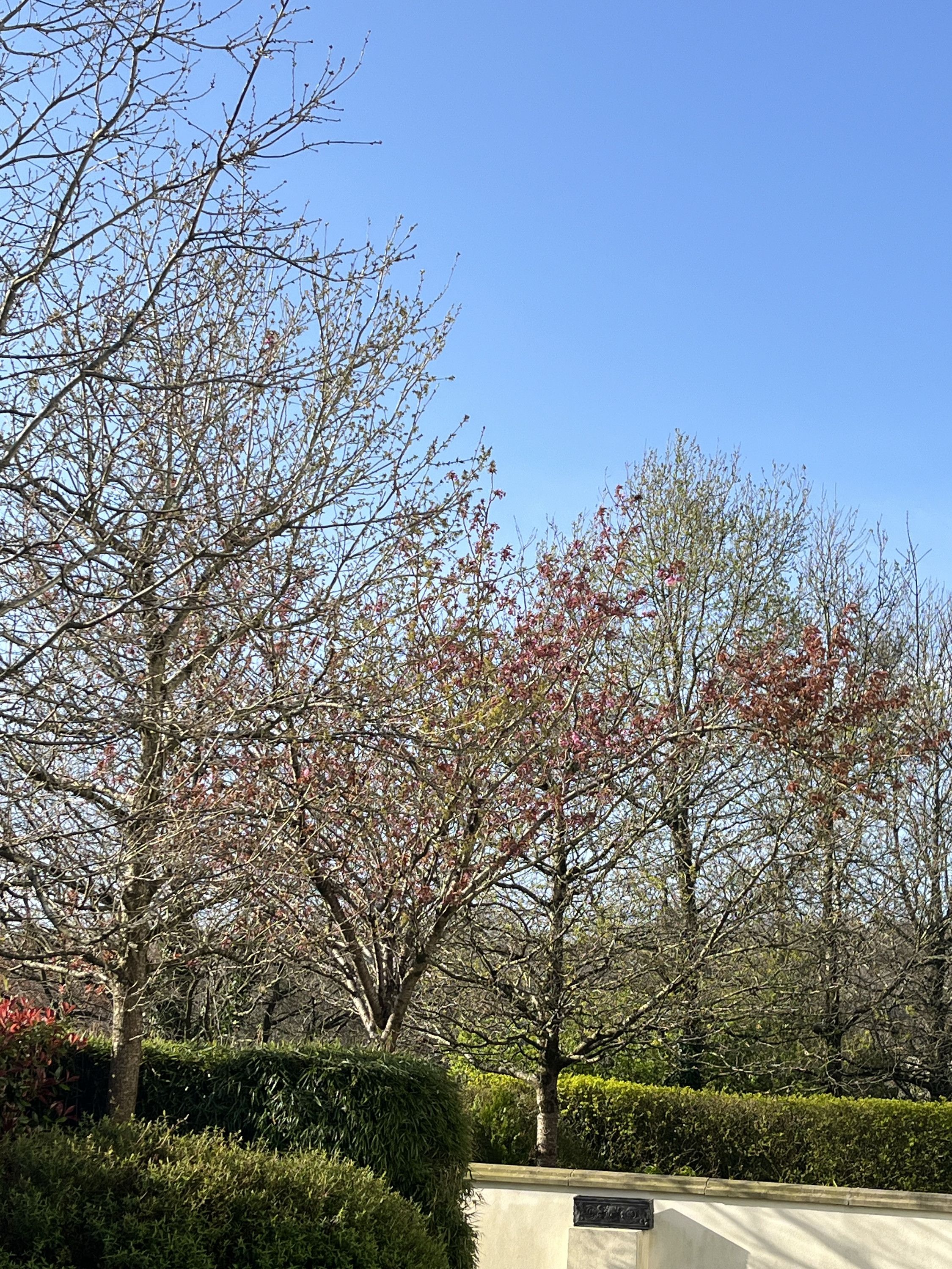 FABULOUS HISTORY OF CORK by Paul O’Mahony #napodpomoMPC