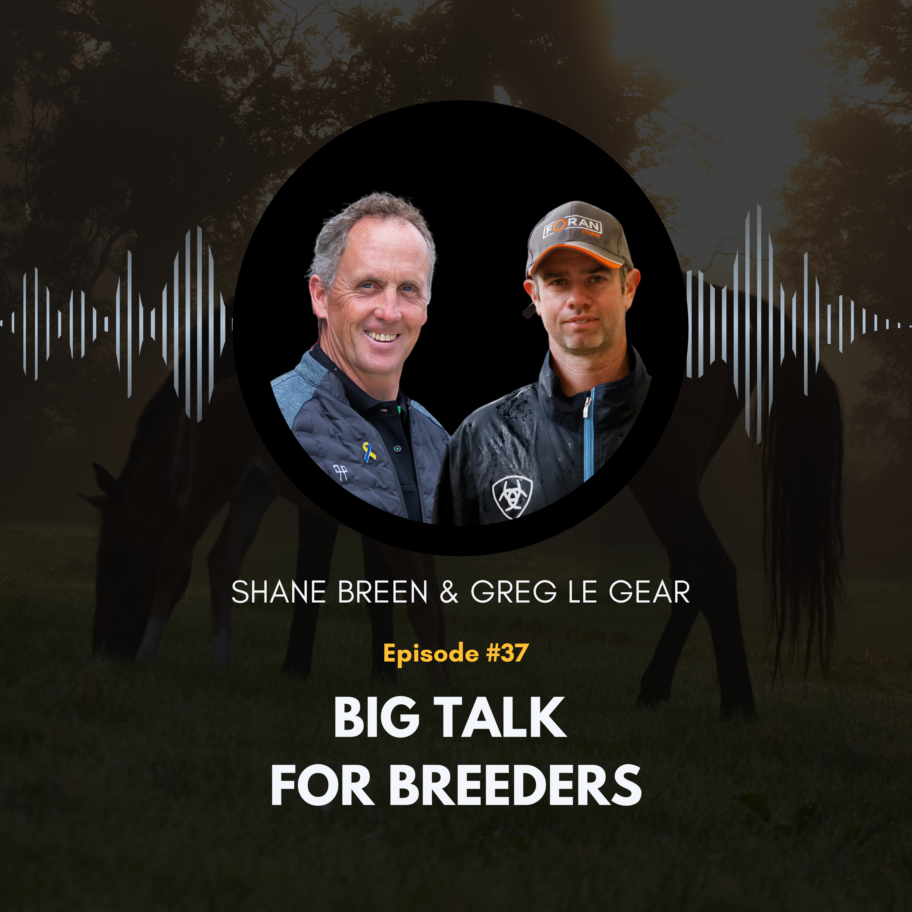 Big Talk For Breeders
