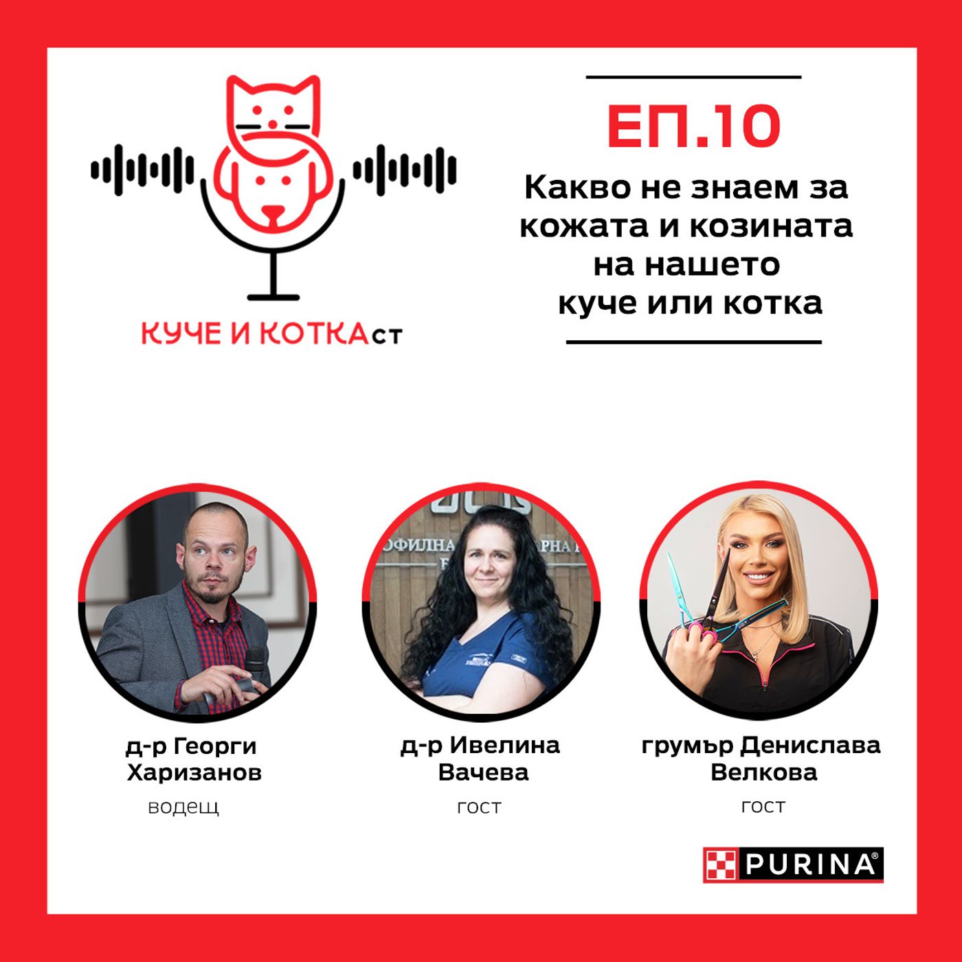 10: Какво не знаем за кожата и козината на нашето куче или котка
