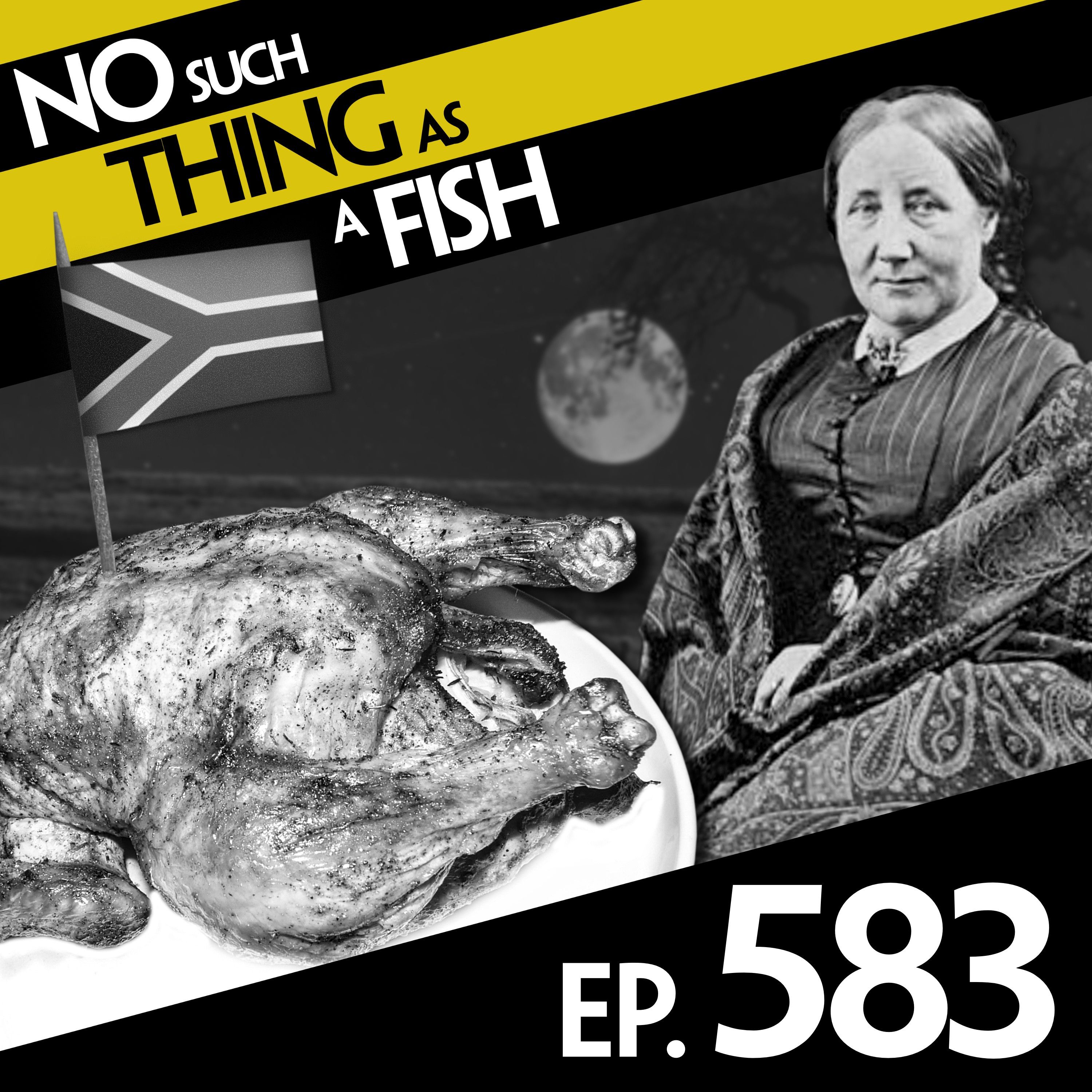 No Such Thing As A Fish 2 583: No Such Thing As A Tuna Macchiato