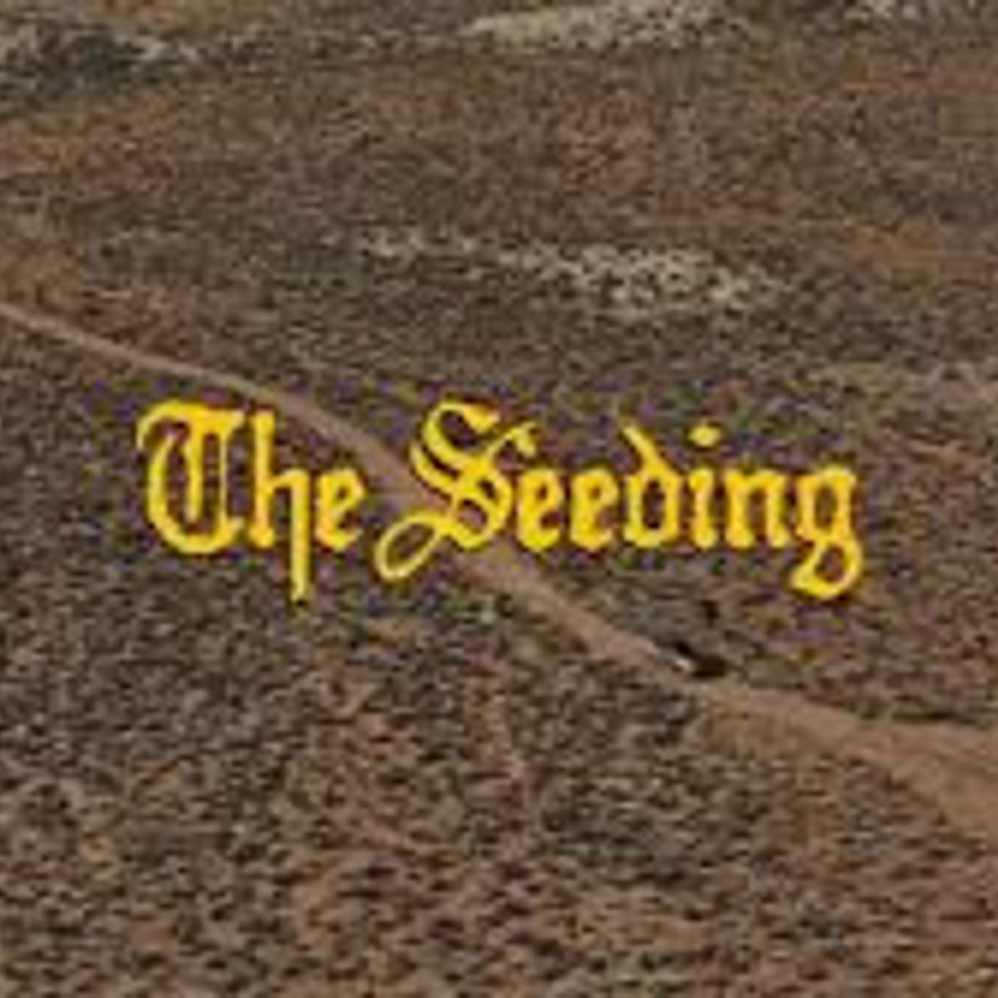30: The Seeding