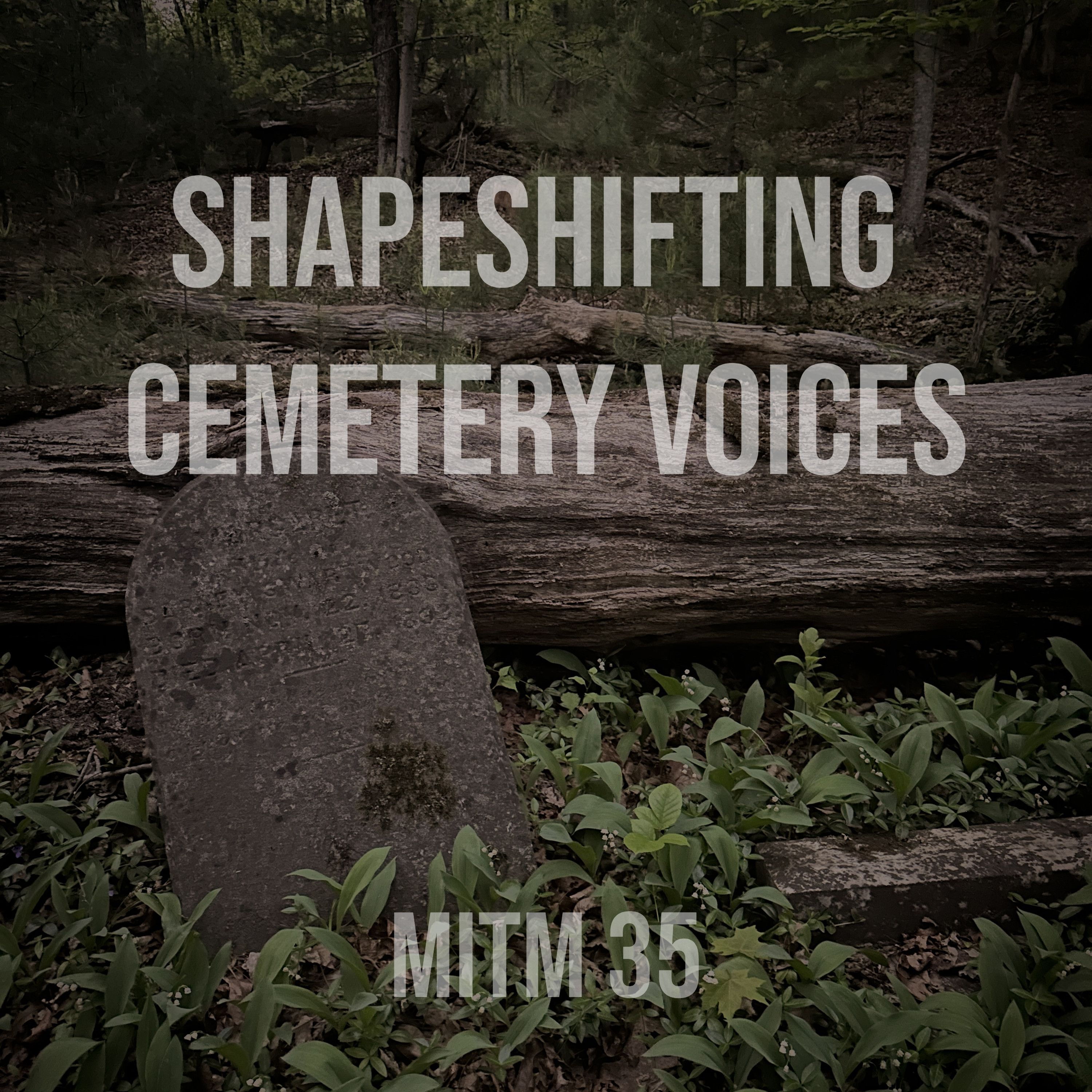 MITM: 35 Shape Shifting Cemetery Voices episode artwork