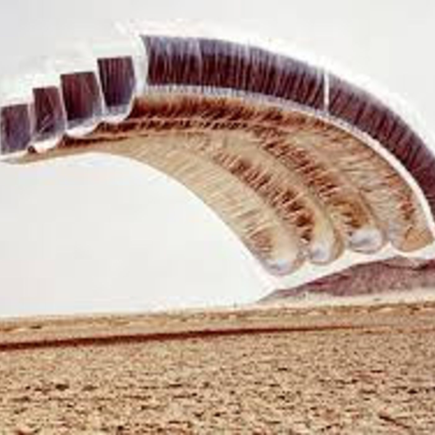 Chiminea News Review -Cooper, Grimston and Stevens