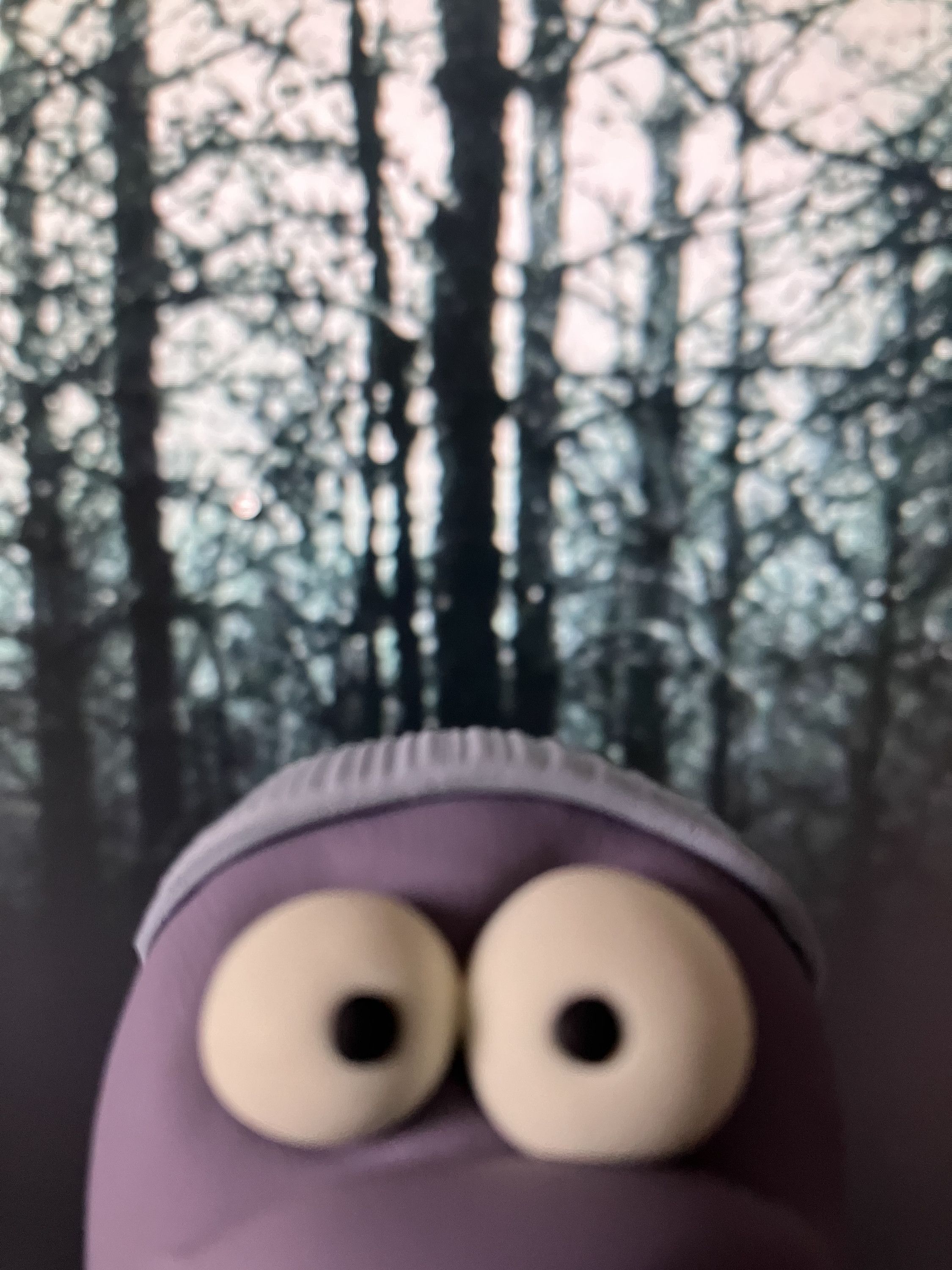 1: The Blair Witch Project : Petrified or Peeved?