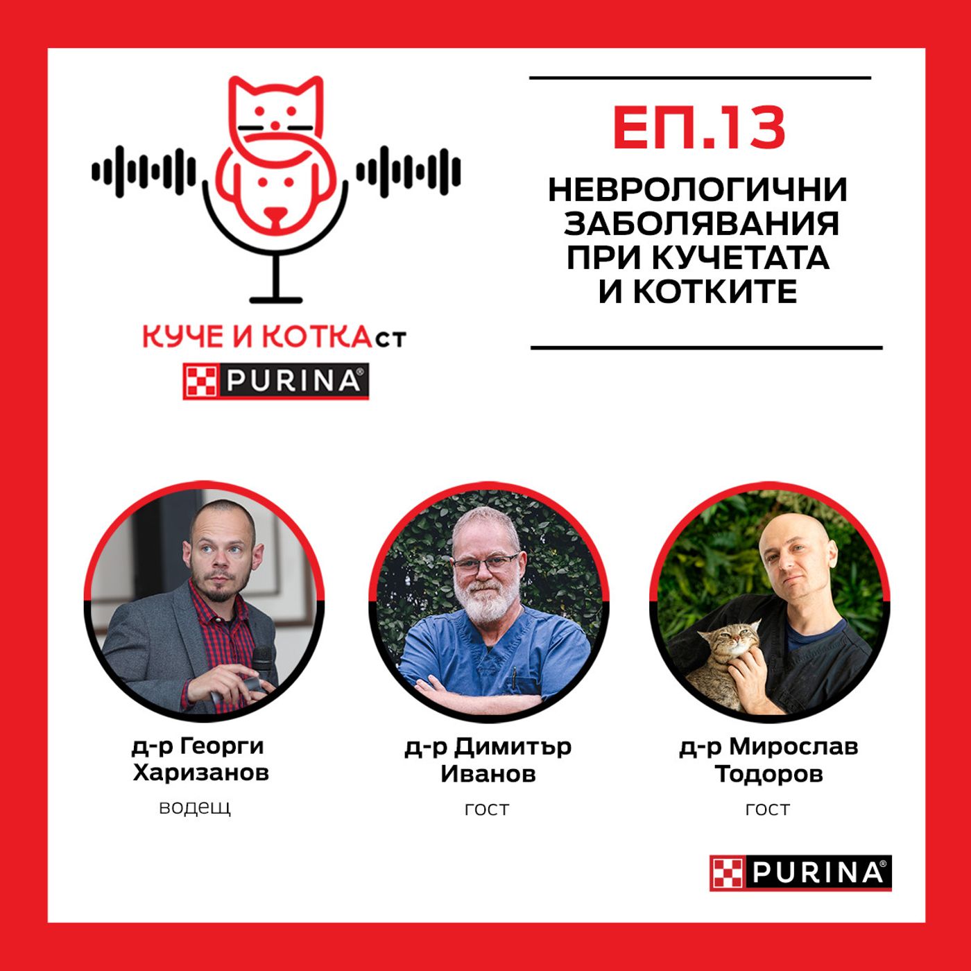 13: Неврологични заболявания при кучетата и котките
