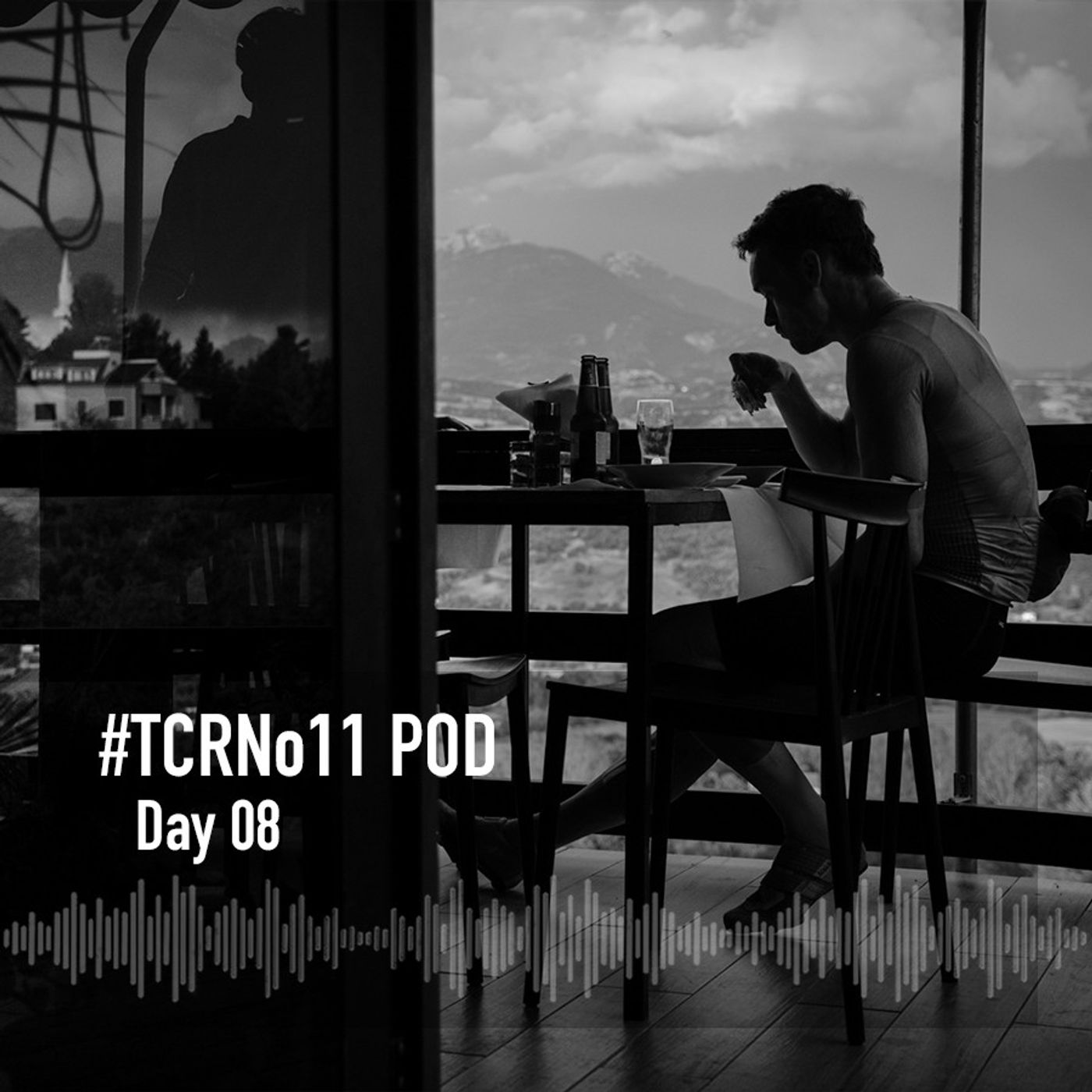 TCRNo11 // Day 08