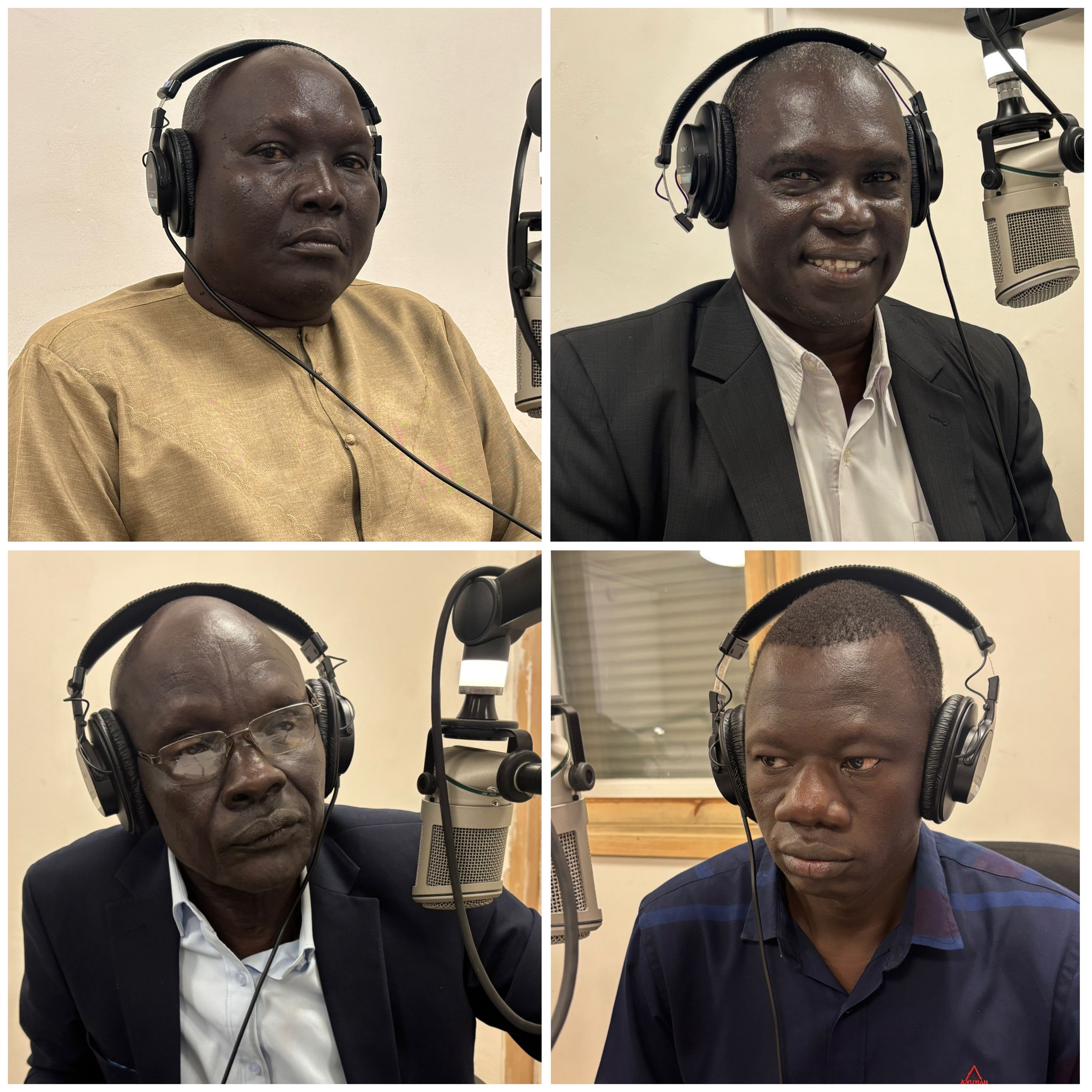The Roundtable: The Roles and Functions of Local Government in South Sudan