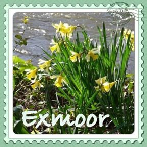 Exmoor4all