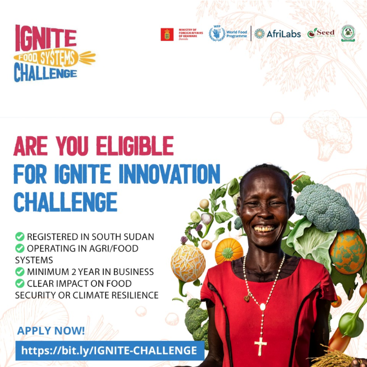 WORKING TOGETHER: IGNITE: Sparking Innovation for Food Security in South Sudan