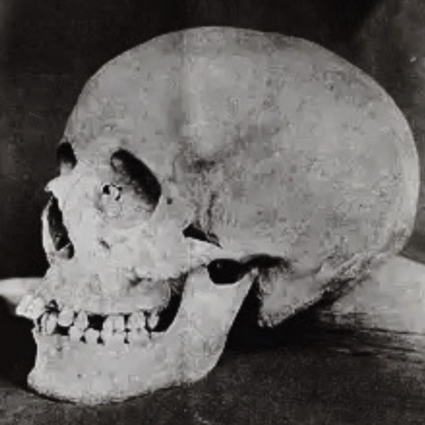 Odd Anthropology