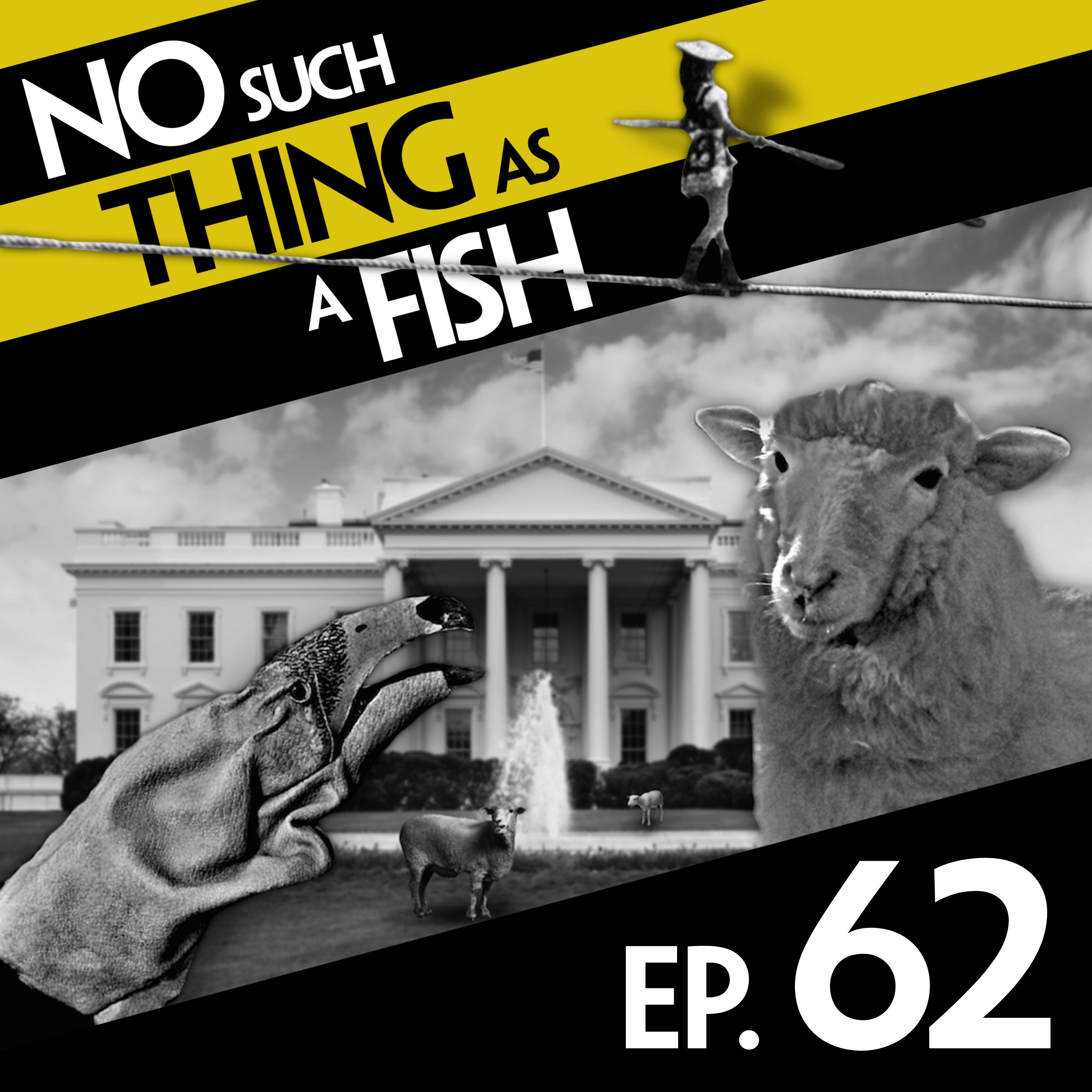 62: No Such Thing As The Ugly Panda