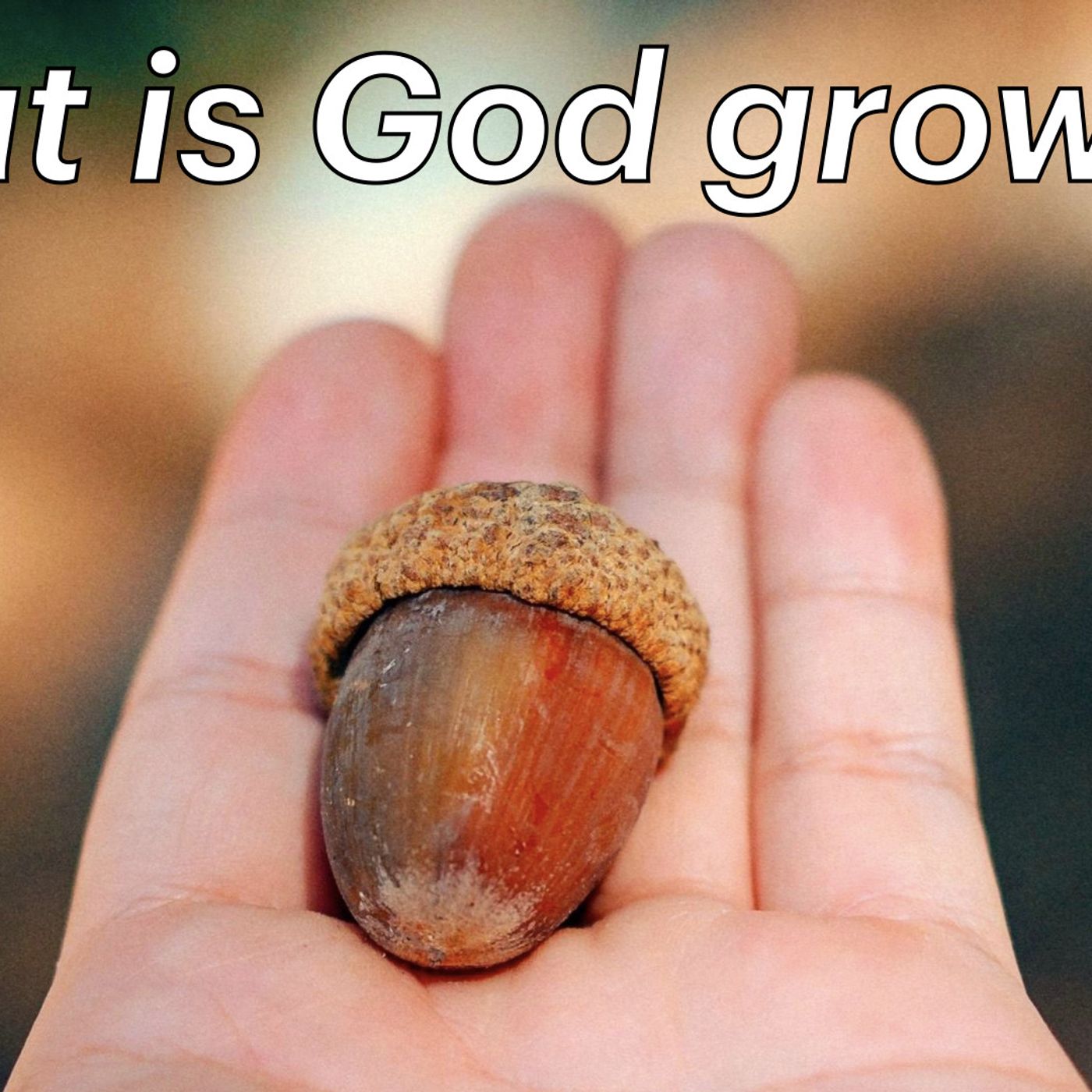 S2 Ep2287: "What is God growing?" | Malcolm Cox | 07 September 2025