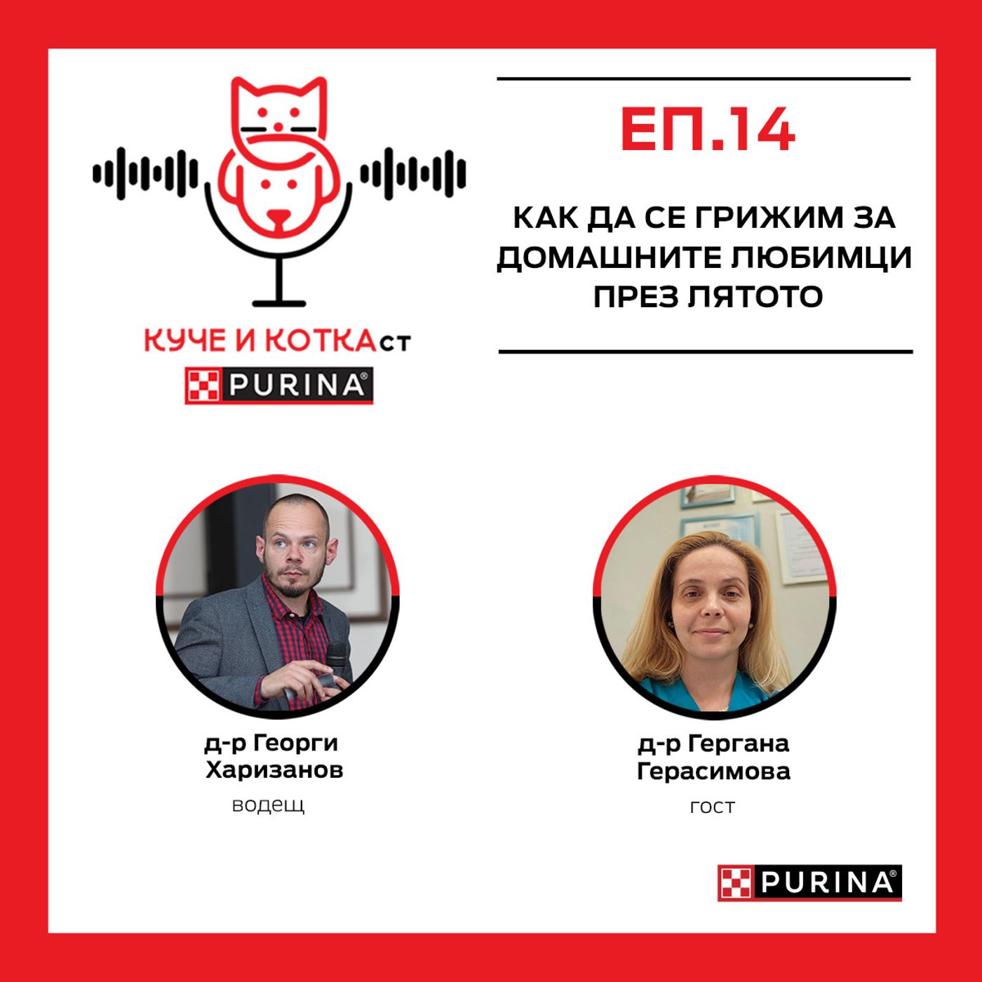 14: Как да се грижим за домашните любимци през лятото