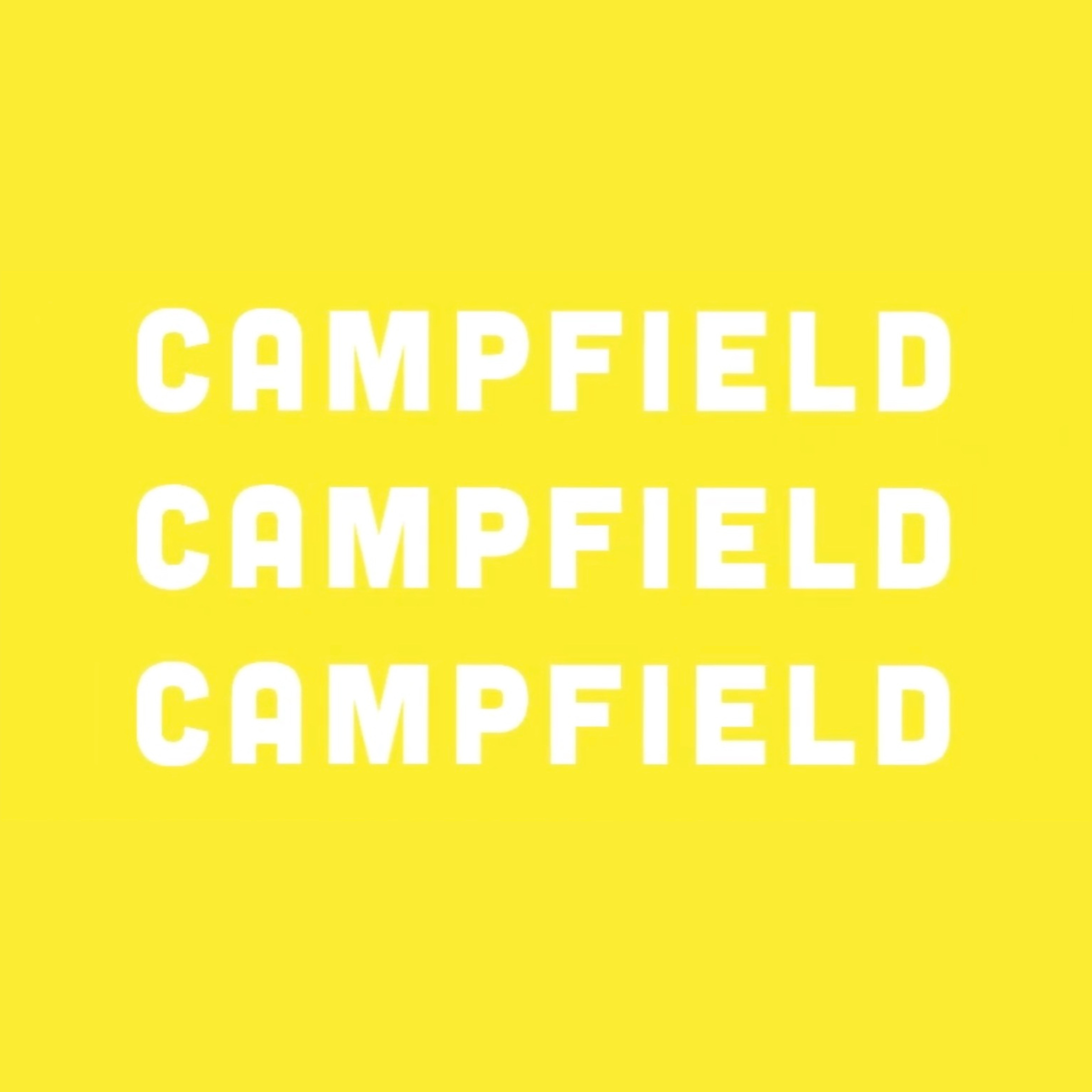 Foundations From Campfield cover art