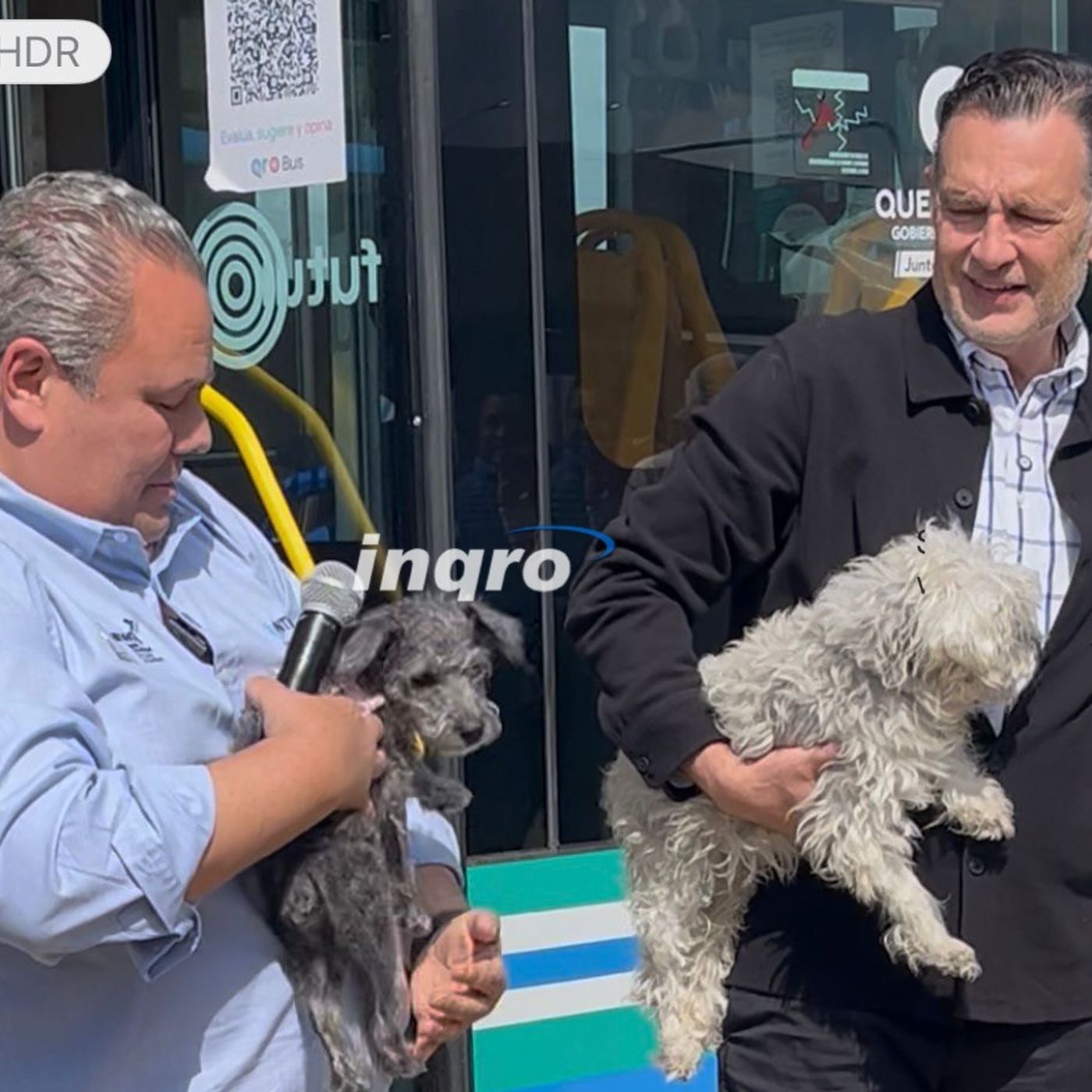 310: Van mil 312 mascotas registradas en el QroBús