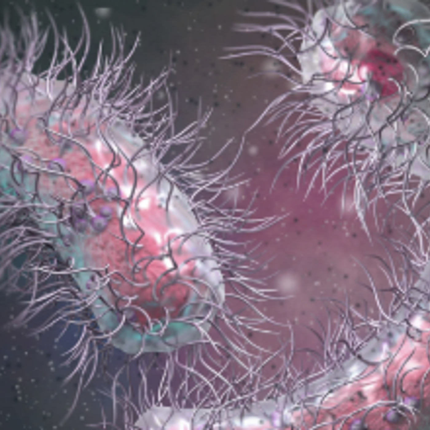 ICTalk: Infection Control Today Podcast