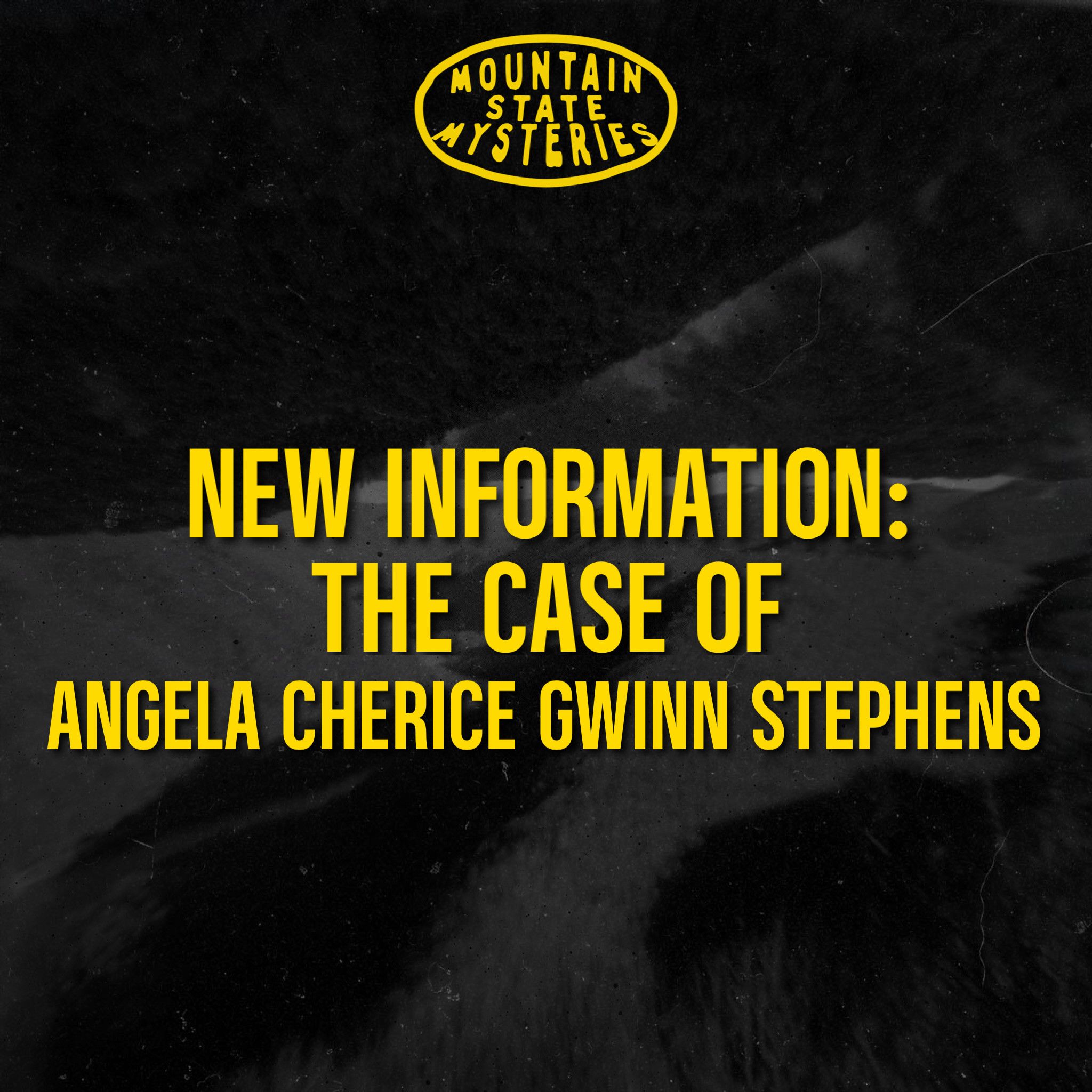 New Information: The Case of Angela Cherice Gwinn Stephens