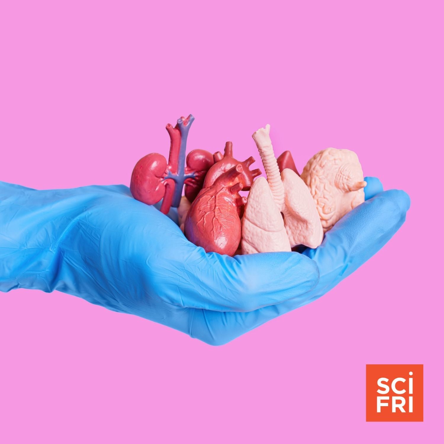 1144: The Science Of Replacing Body Parts, From Hair To Hearts episode artwork