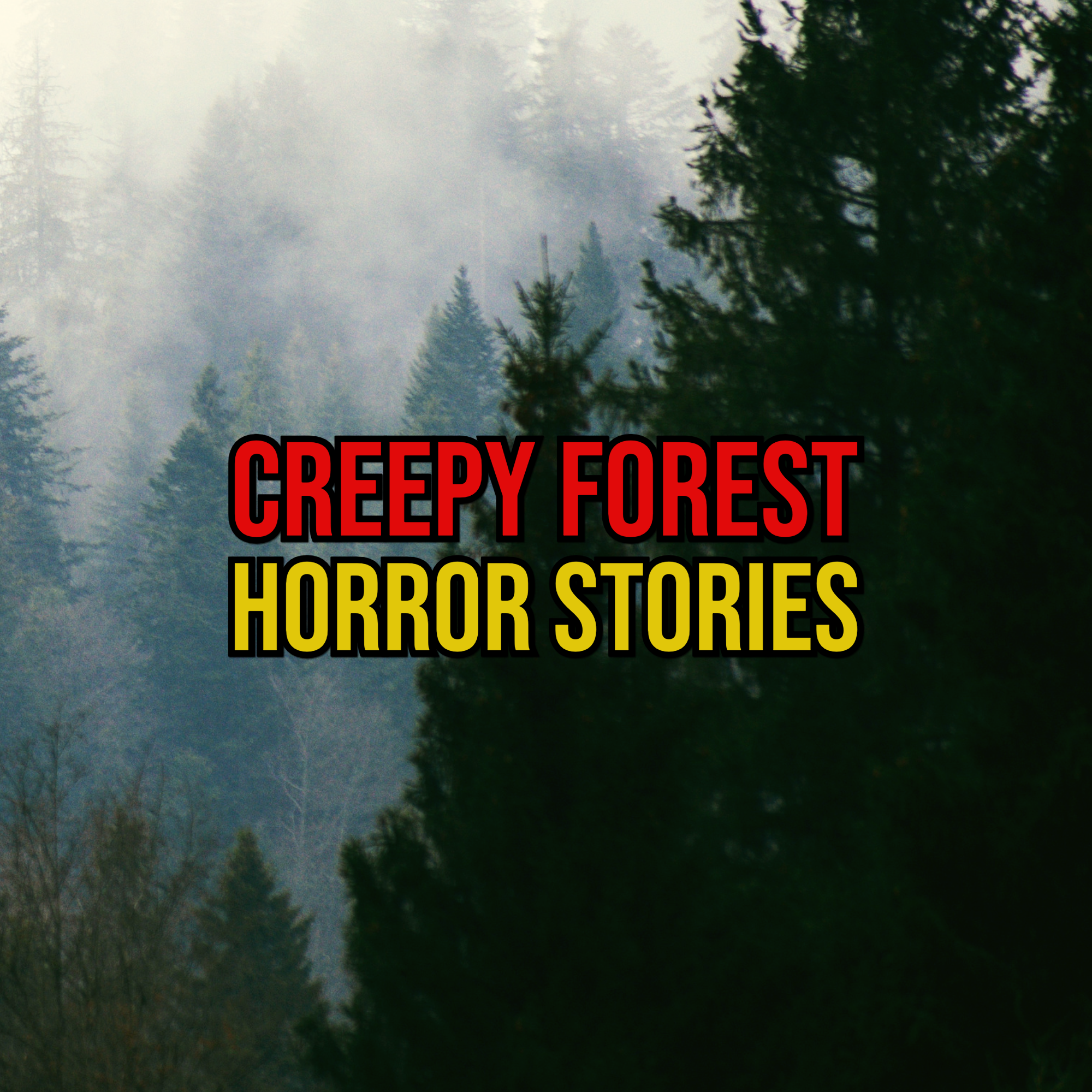 Episode 283: Creepy Forest Horror Stories
