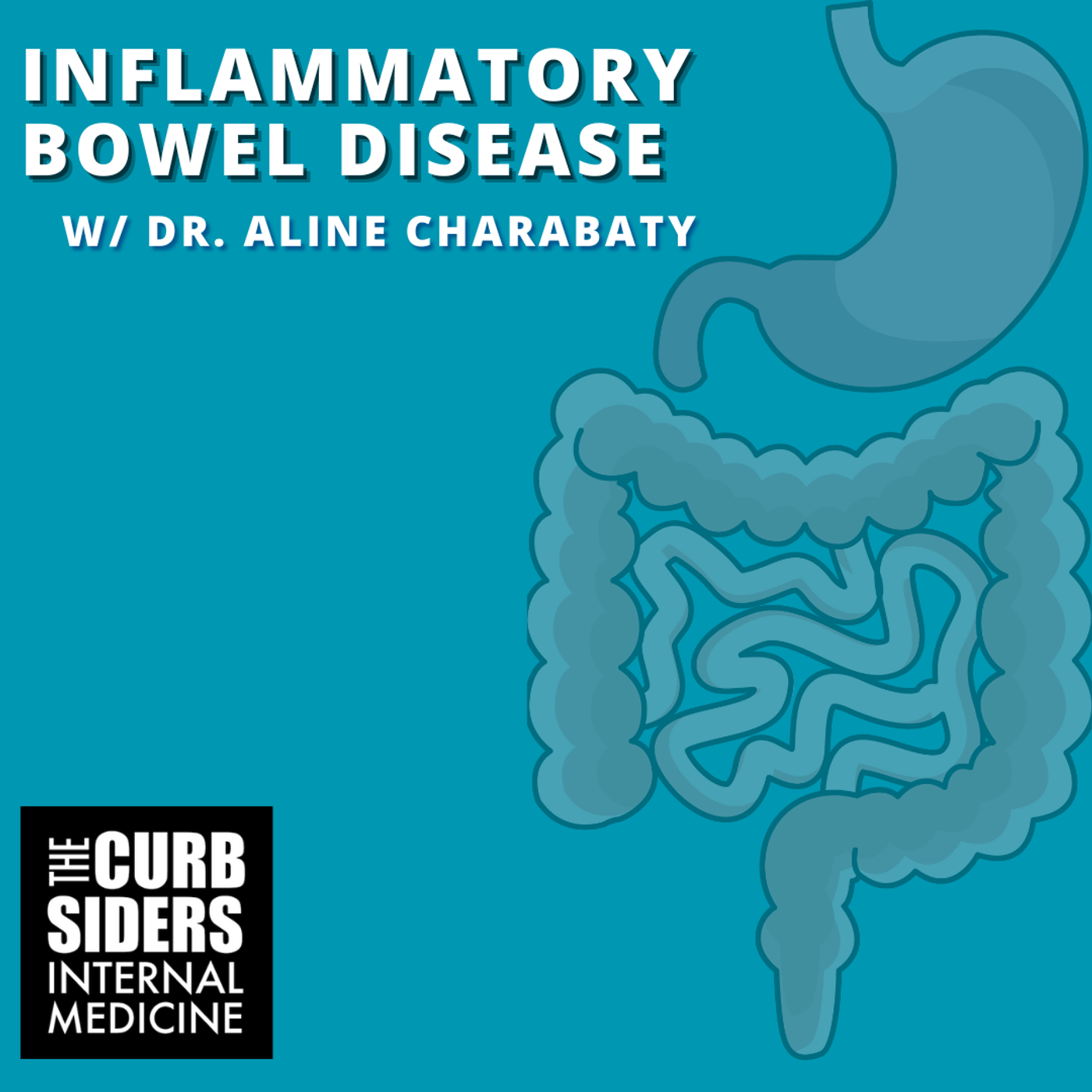 #502 Inflammatory Bowel Disease with Dr. Aline Charabaty