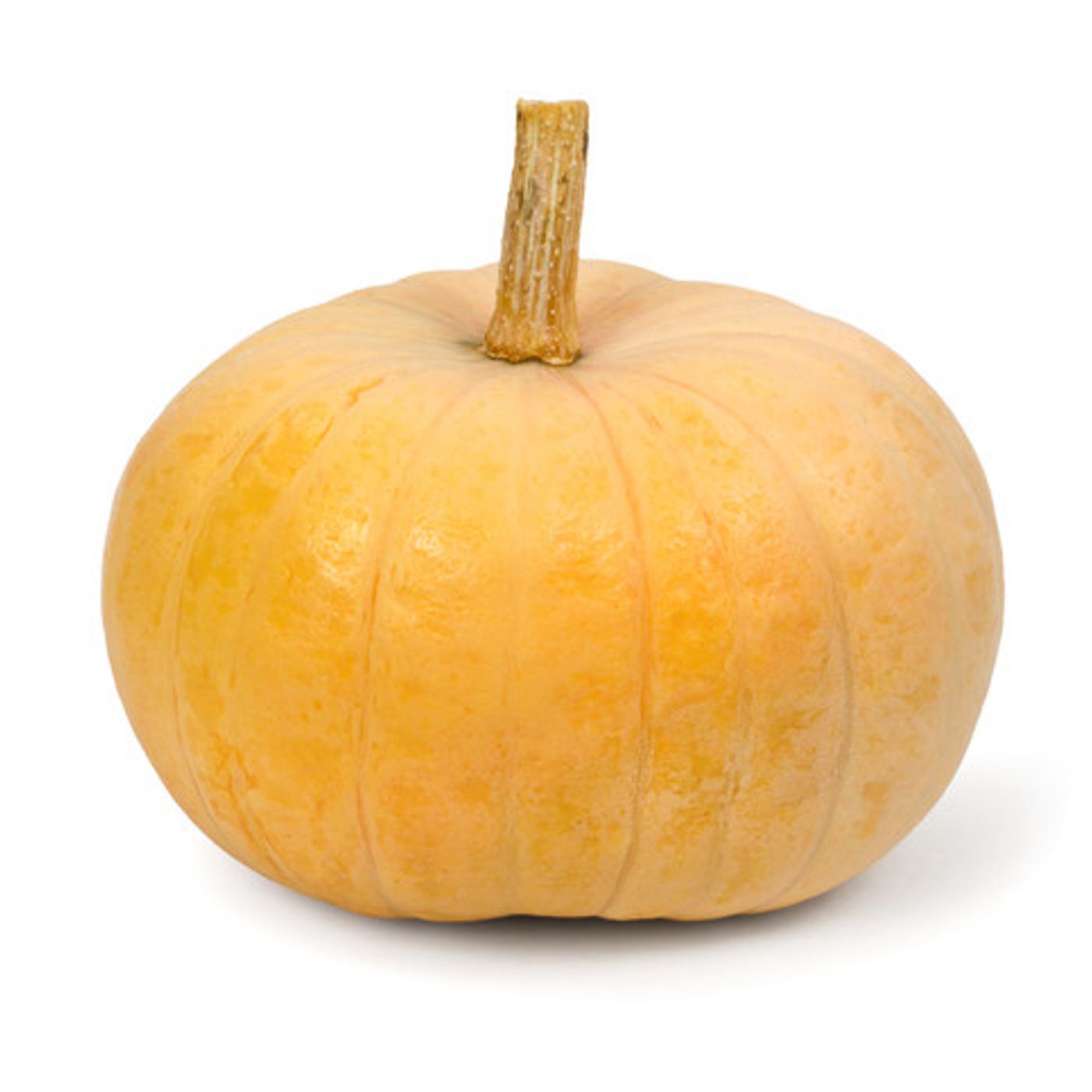 Morning Hack  10/20/2025   Viral Pumpkin Idea!