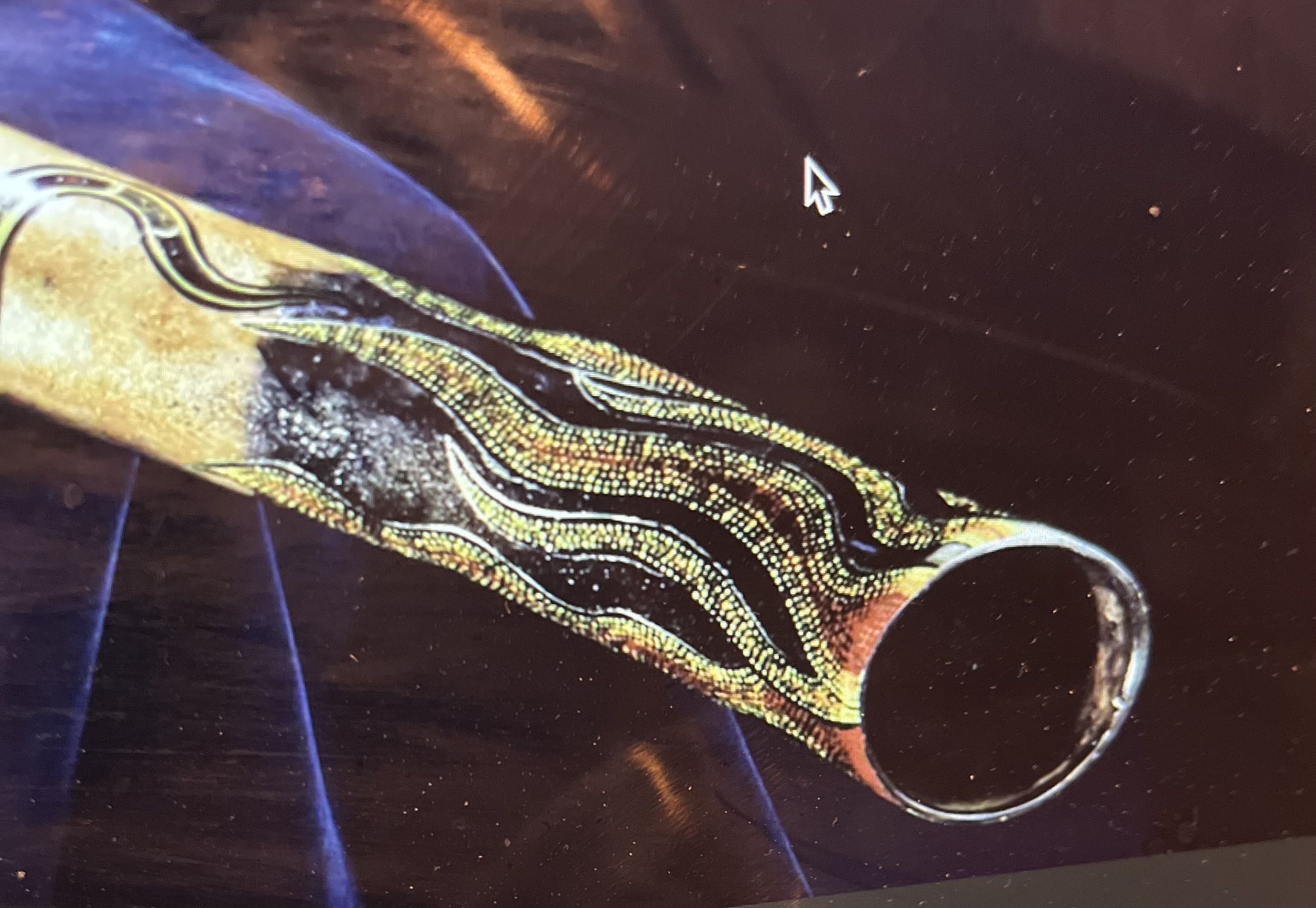 #octaver25 Day 20 - What instrument turns you off a piece of music?