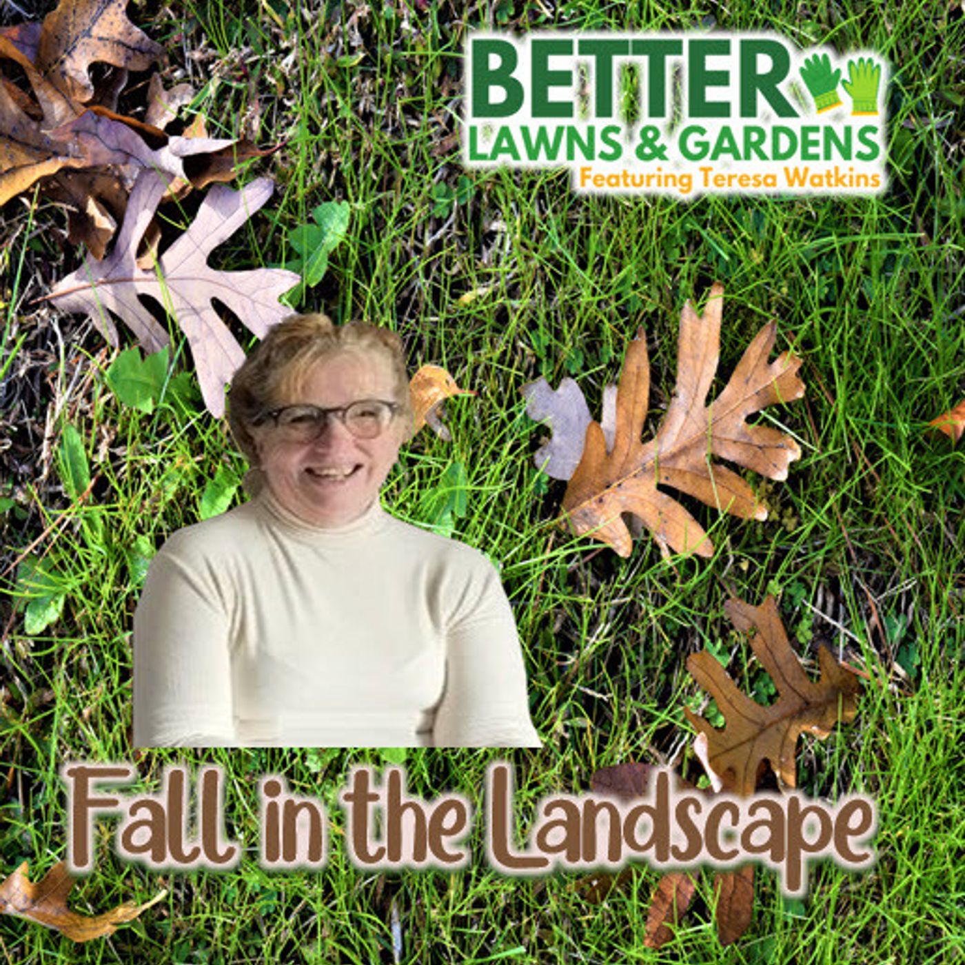 Better Lawns and Gardens - Hour 2 Fall Chores For The Landscape