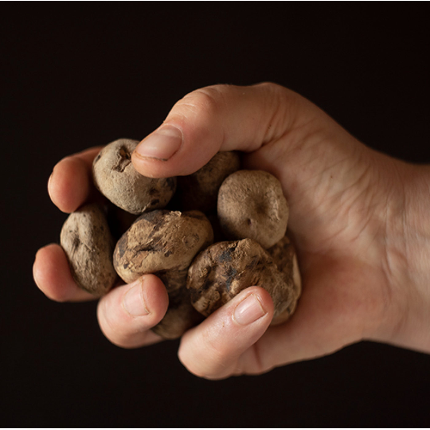 #Napodpomo 3/30. READING POETRY:  “Digging” - Seamus Heaney