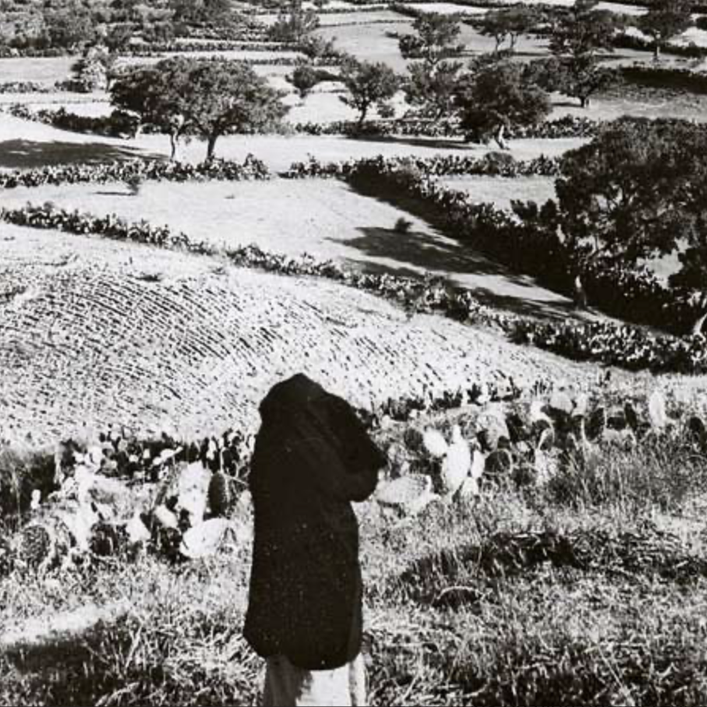 42: Post-Ceasefire Gaza Hostages and Hezbollah Regeneration in Lebanon. David Daoud and Bill Roggio discuss how following the Gaza ceasefire, the process of returning remains of slain hostages remains delayed, which Daoud suggests Hamas uses as leverage to pr