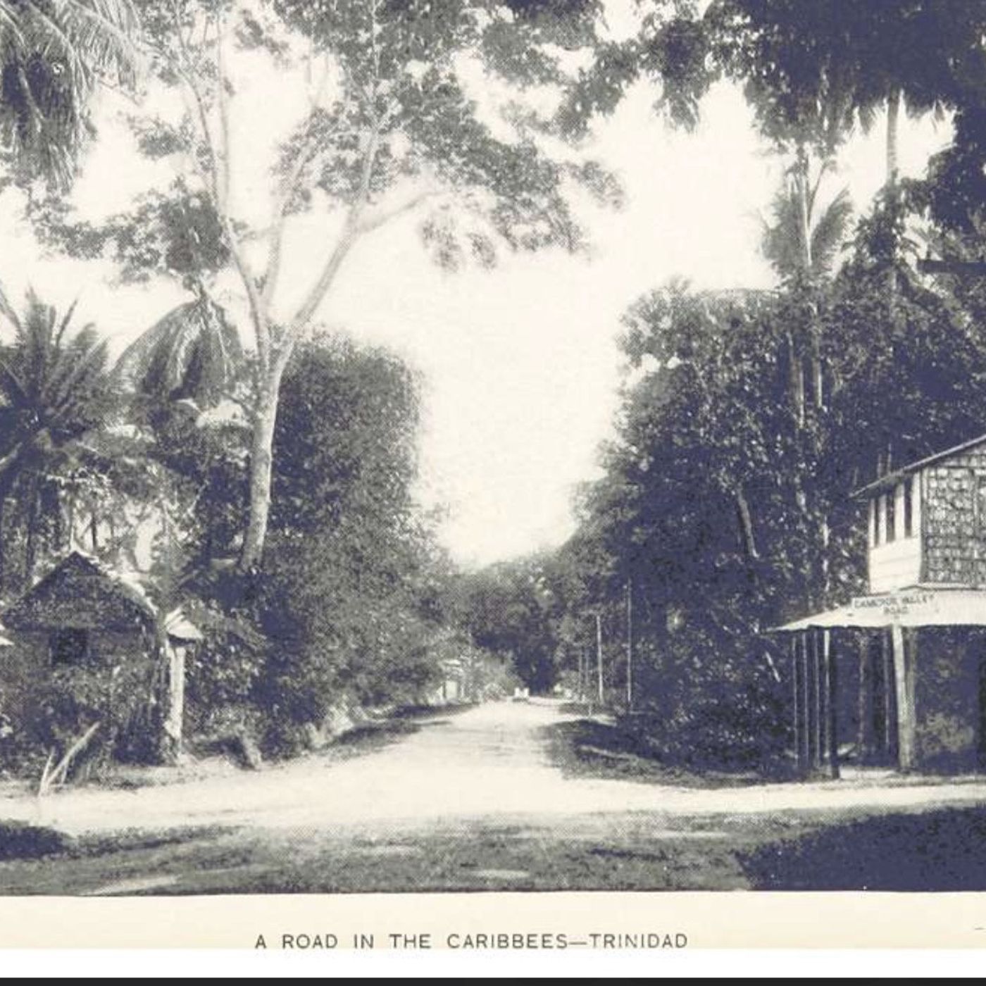 44:  SHOW 11-3-25 CBS EYE ON THE WORLD WITH JOHN BATCHELOR  THE SHOW BEGINS IN THE DOUBTS ABOUT VENEZUELA.    FIRST HOUR  9-915 Middle East Disorder, Gaza Ceasefire, and Lessons from War Reporting. Bill Roggio and Husain Haqqani address the persistent disorde