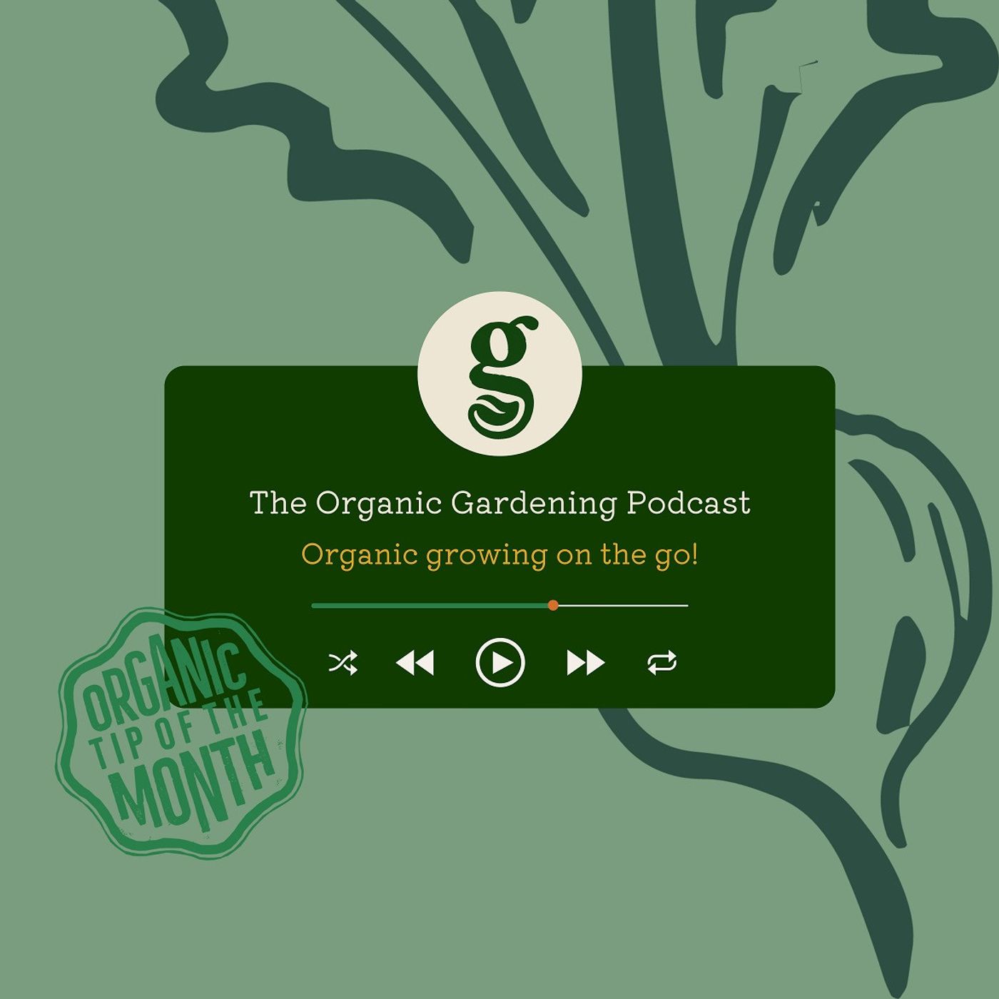 S5 Ep11: November - The botany of the kitchen garden with Helena Dove S5 Ep11: November - The botany of the kitchen garden with Helena Dove