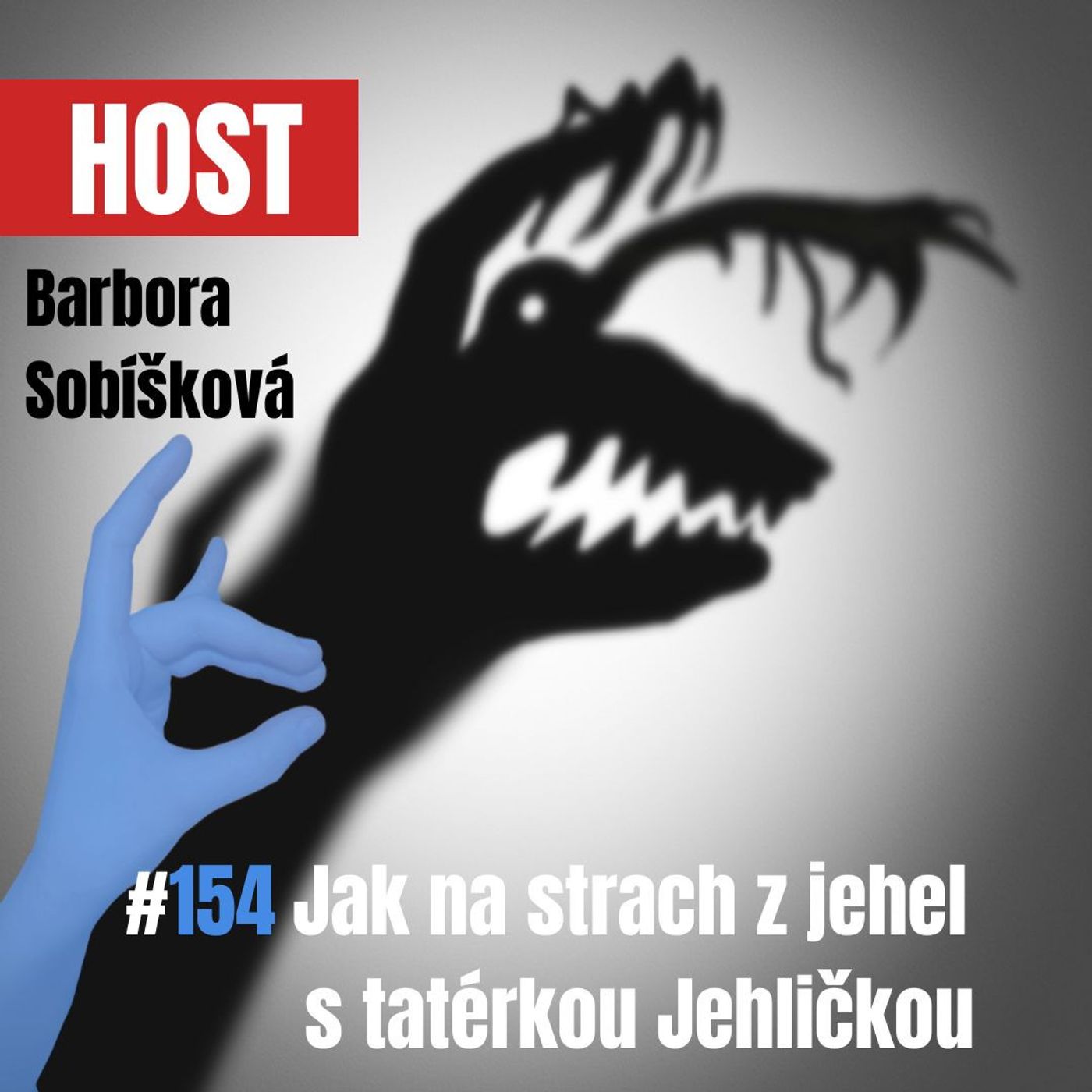 154: Jak na strach z jehel s tatérkou Jehličkou
