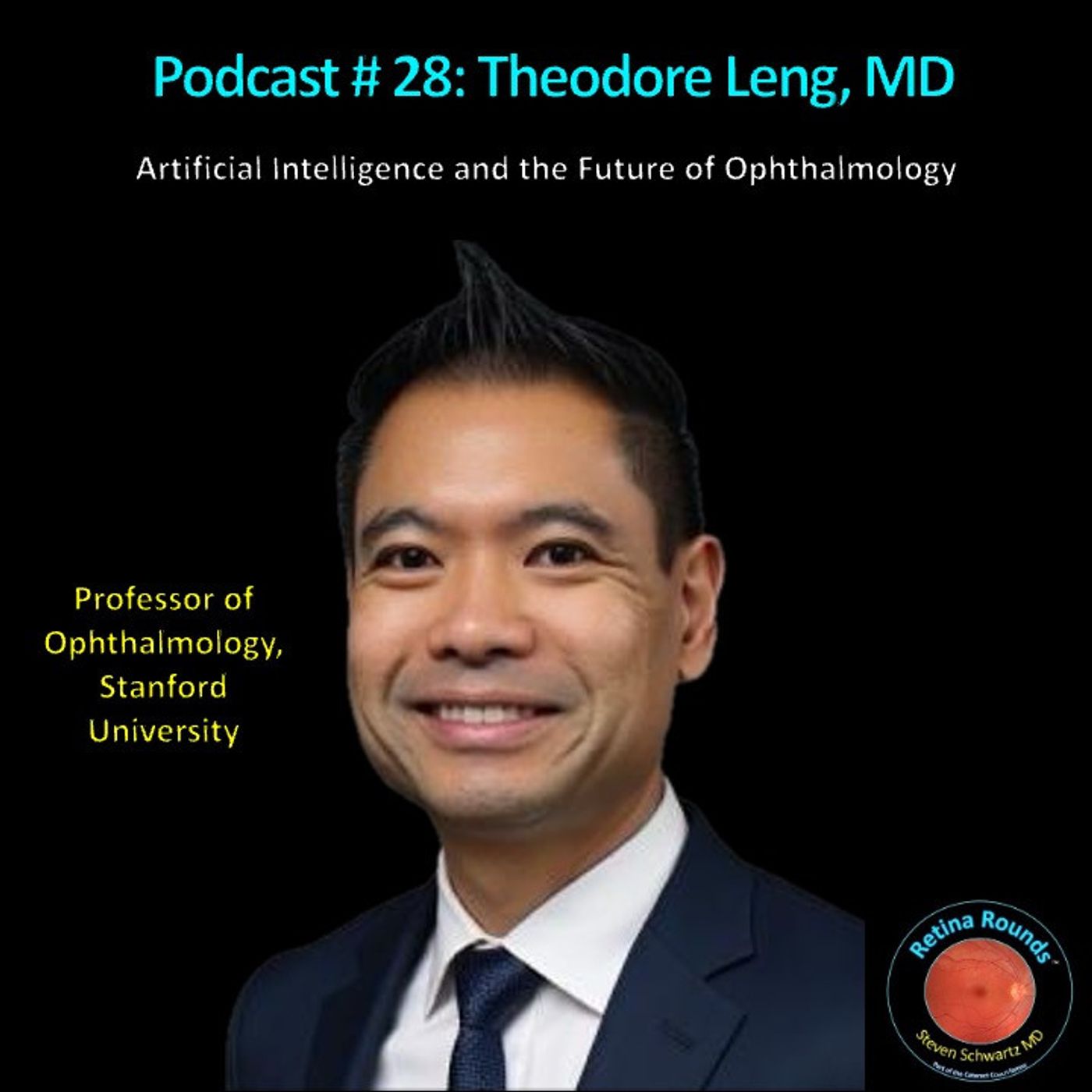 28: RetinaRounds™ Podcast 28: Theodore Leng, MD