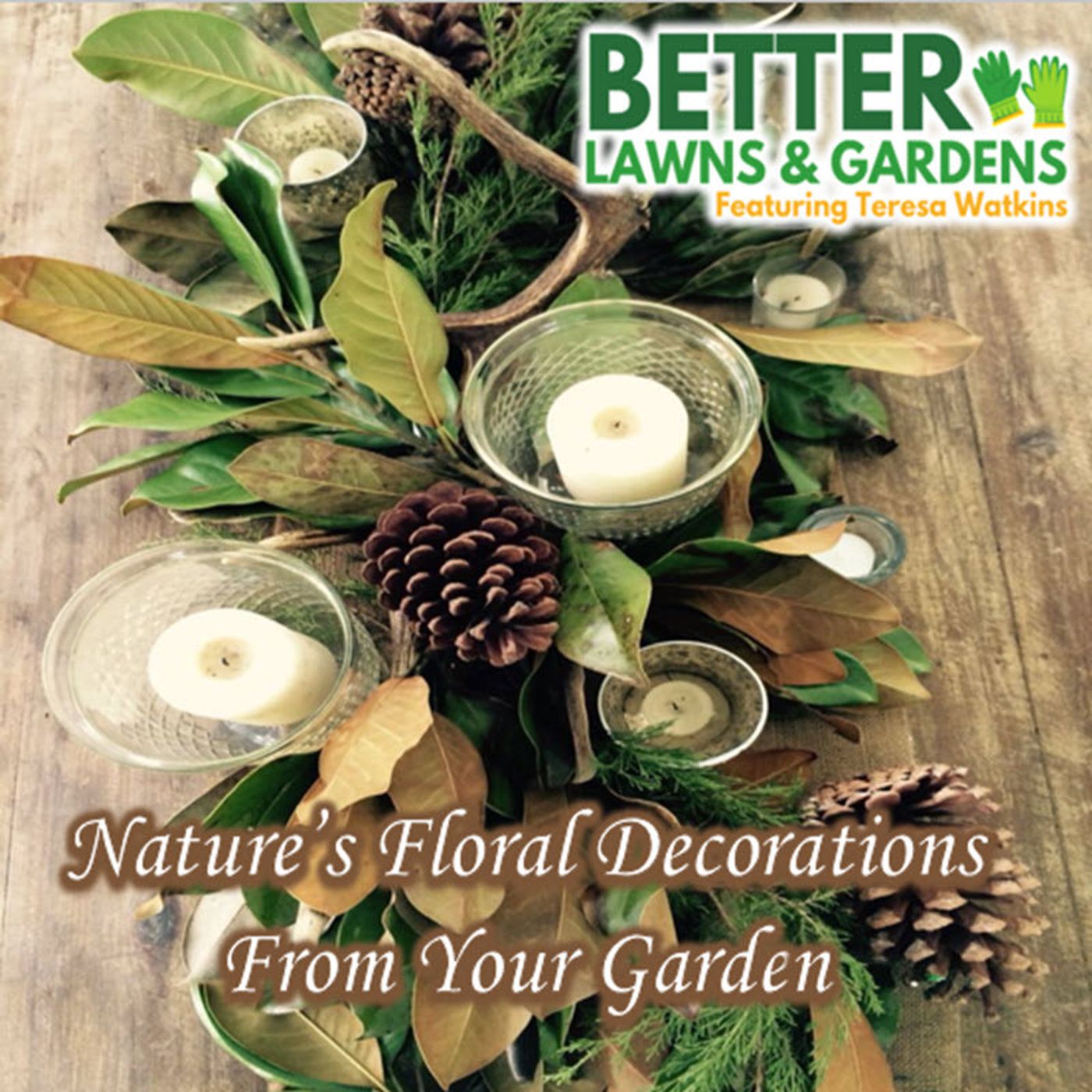 Better Lawns and Gardens - Hour 2 Nature Centerpieces November 15, 2025