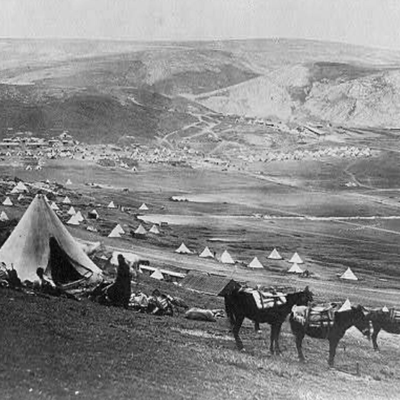 95: Volodymyr Zelenskyy: A Native Russian Speaker and the Evolution of Ukrainian National Identity. Professor Eugene Finkel notes that President Volodymyr Zelenskyy has an unusual background: Jewish, a native Russian speaker, and a successful media entreprene 95: Volodymyr Zelenskyy: A Native Russian Speaker and the Evolution of Ukrainian National Identity. Professor Eugene Finkel notes that President Volodymyr Zelenskyy has an unusual background: Jewish, a native Russian speaker, and a successful media entreprene