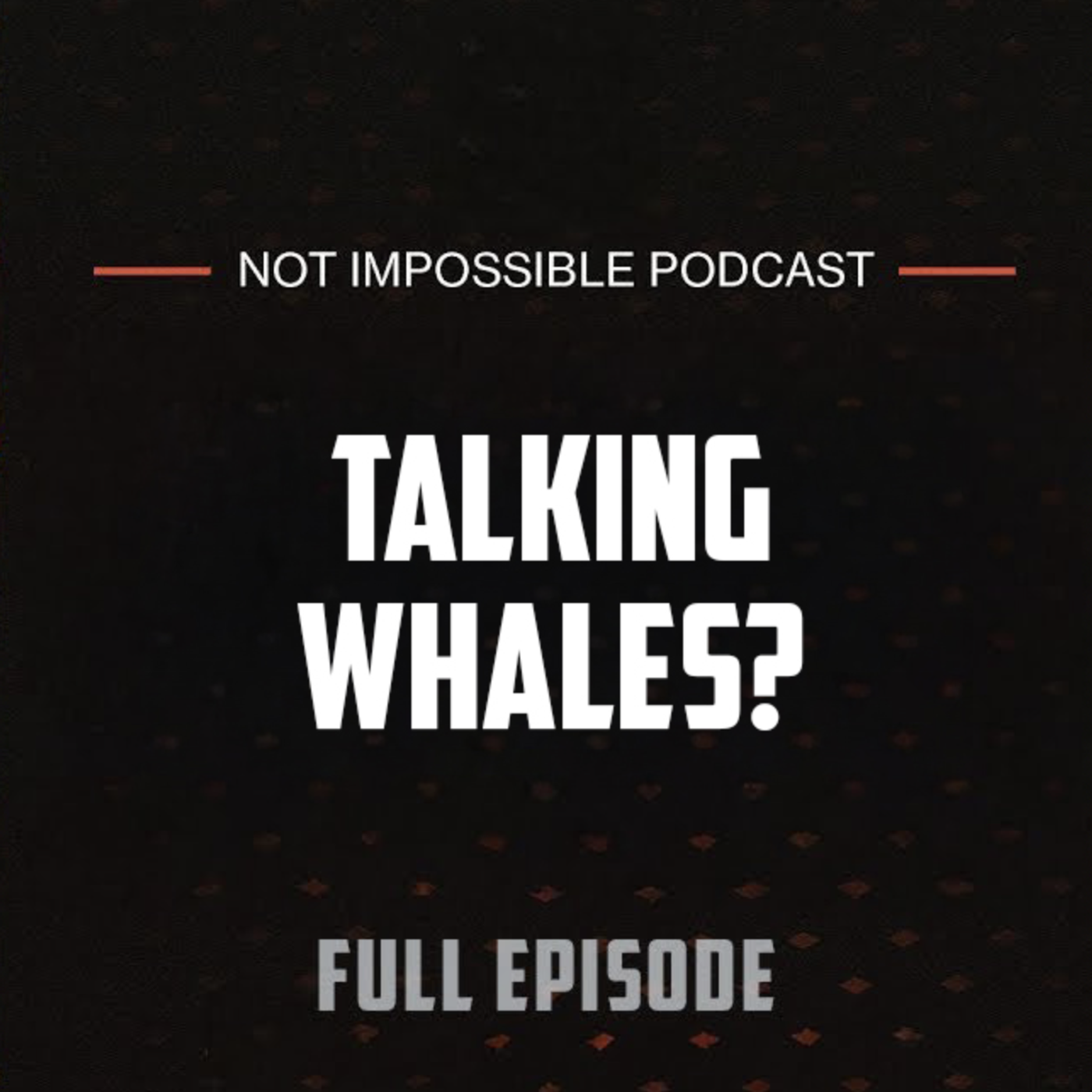 S2 Ep6: Can Whales Help Us Talk to Aliens? with the SETI Team