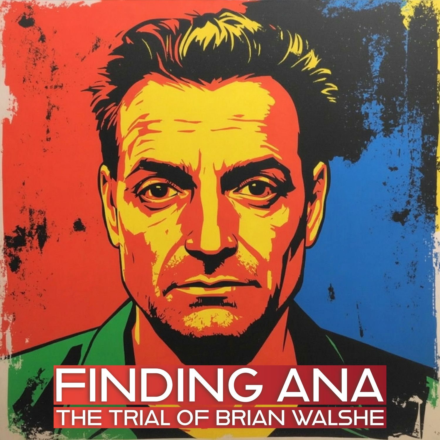 The Trial of Brian Walshe —Harrison Schmidt – Lead Investigator Day 2 Part 1