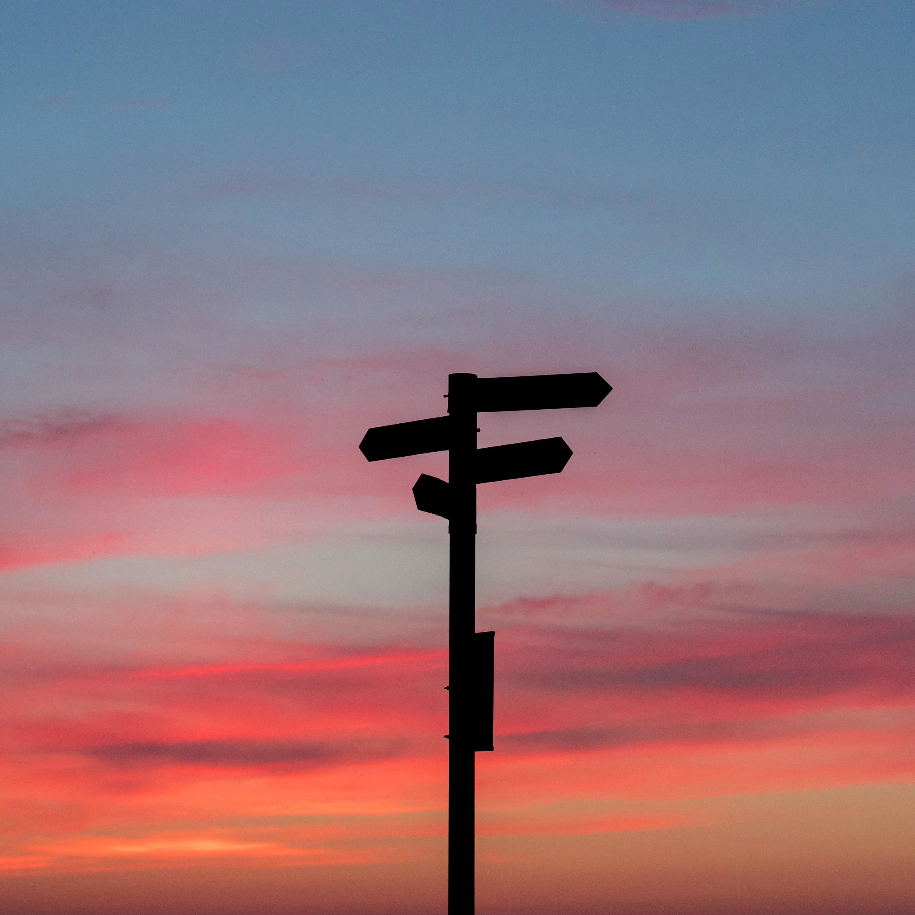 596: Would You Rather IV: Would You Dan Rather?