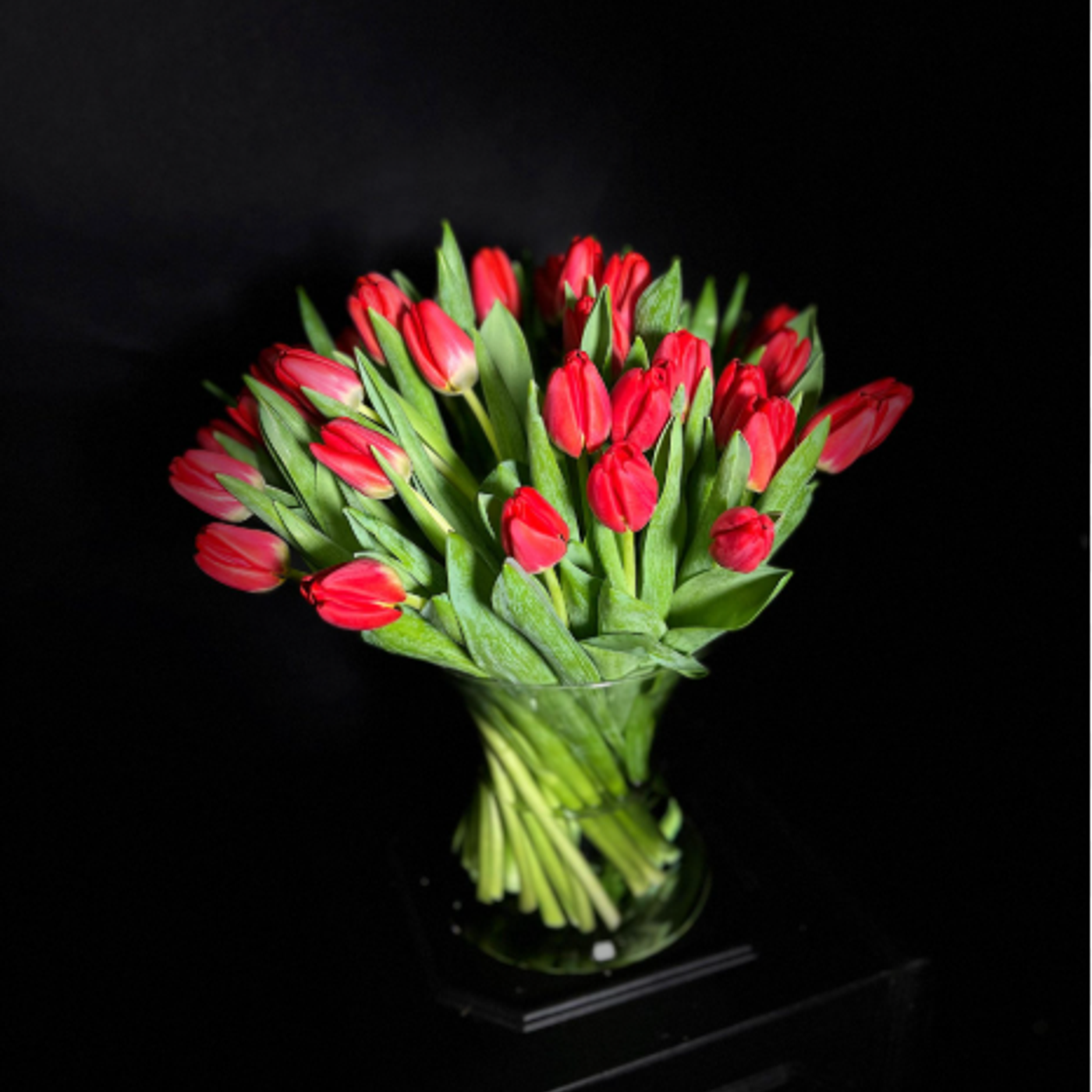 Episode 23  Sylvia Plath READING POETRY - her poem “Tulips”  - genius at work #NaPodPoMo 23/30