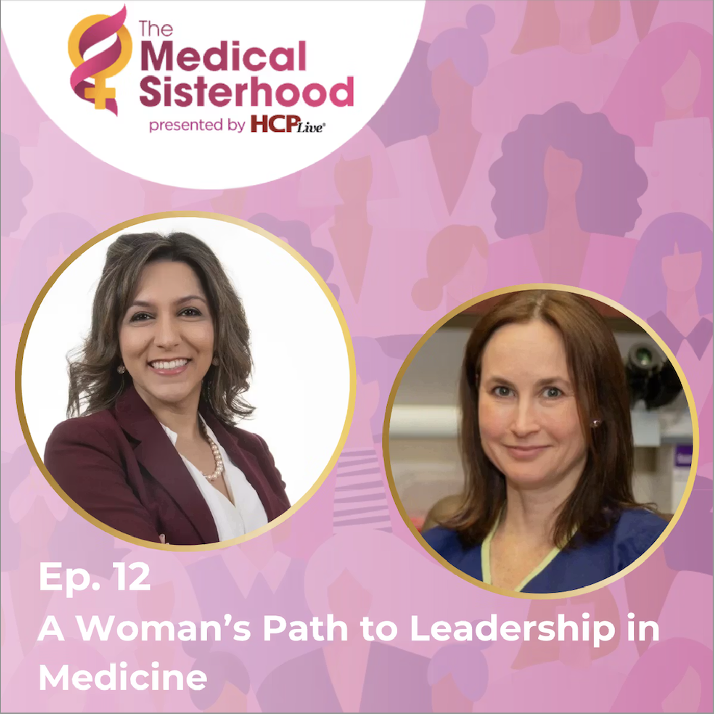 The Medical Sisterhood: A Woman’s Path to Leadership in Medicine, with Laura Ferris, MD, PhD episode artwork